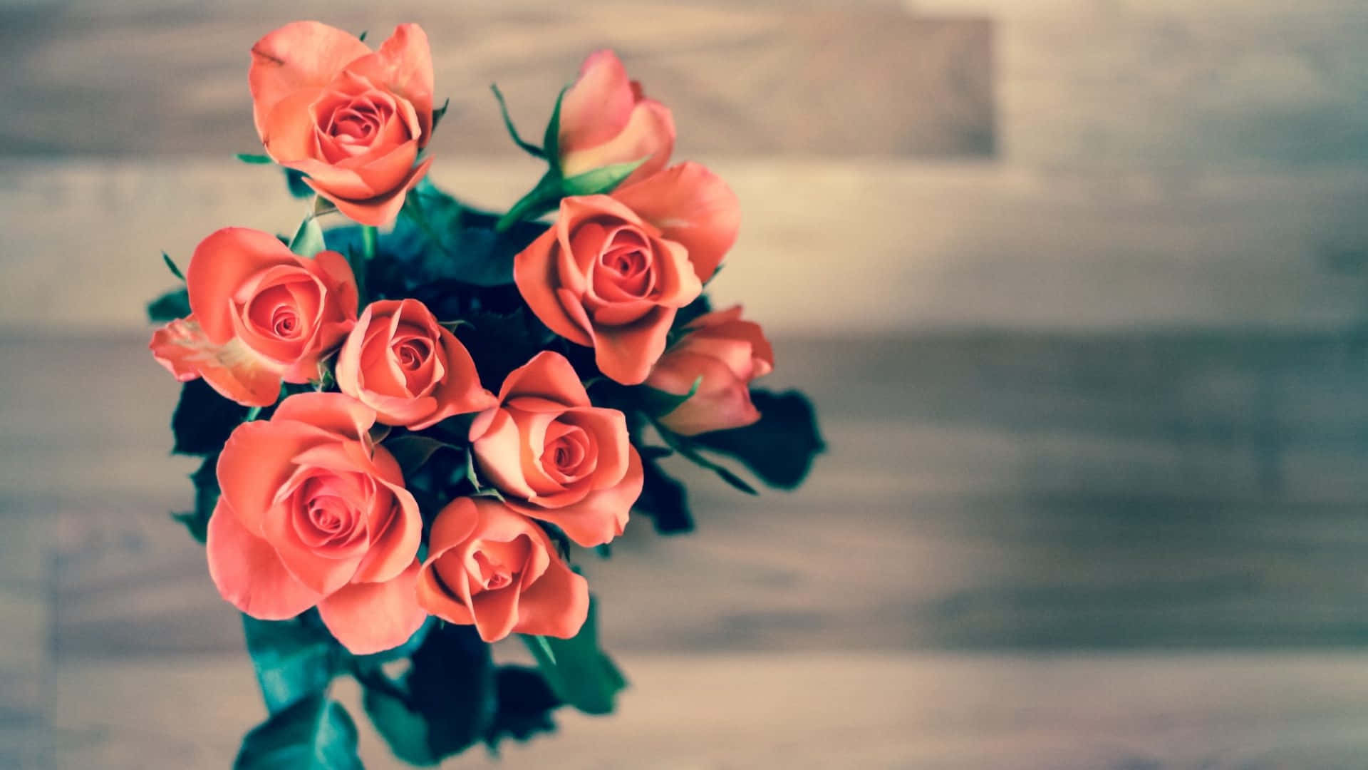 Rose Flower 桌布 壁紙 — 一束柔焦的珊瑚玫瑰，搭配深綠色葉子，放置在模糊的木質表面上。