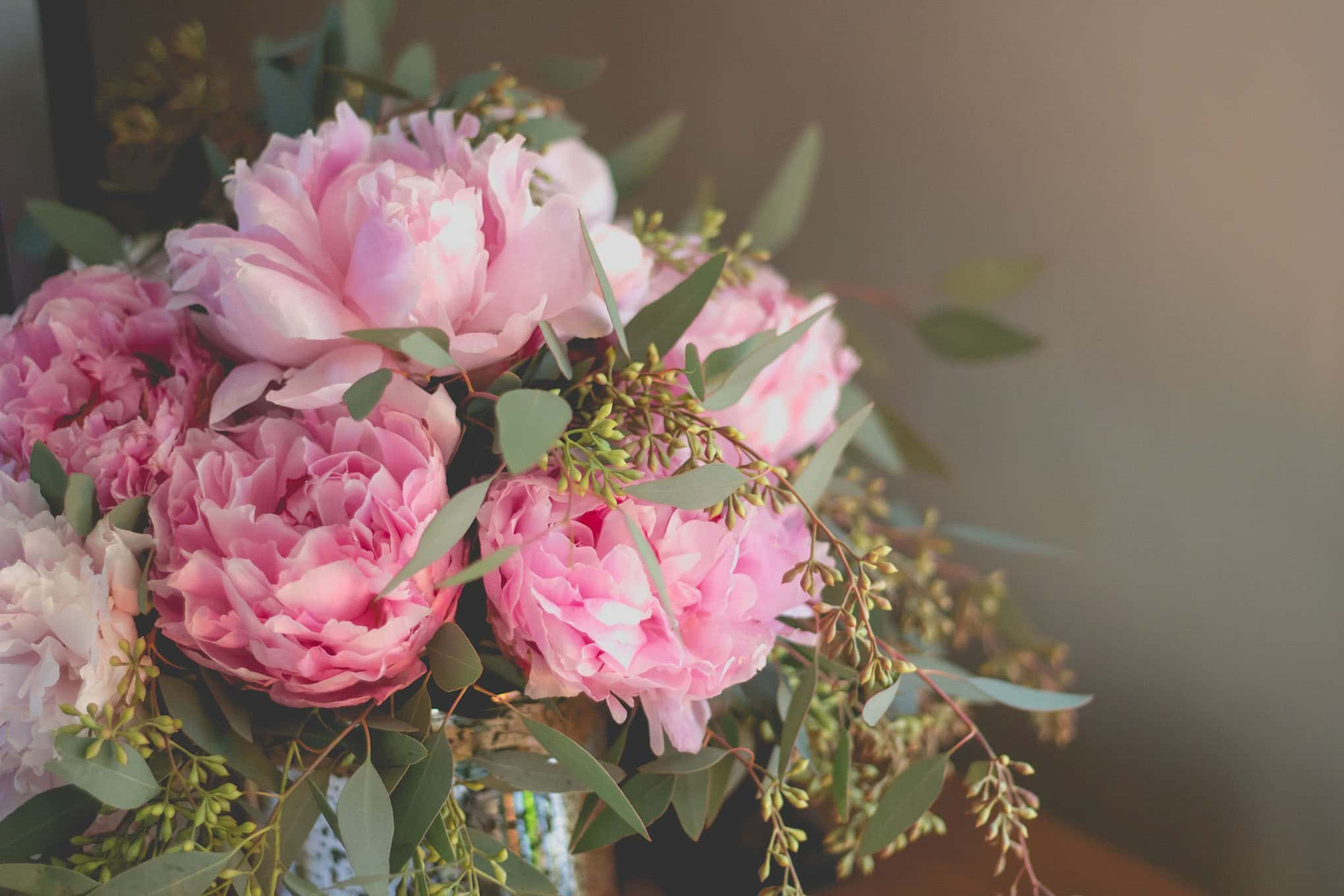 Peonies 桌布 壁紙 — 一束柔焦的粉紅牡丹和綠色桉樹葉，沐浴在溫暖的金色光線中。