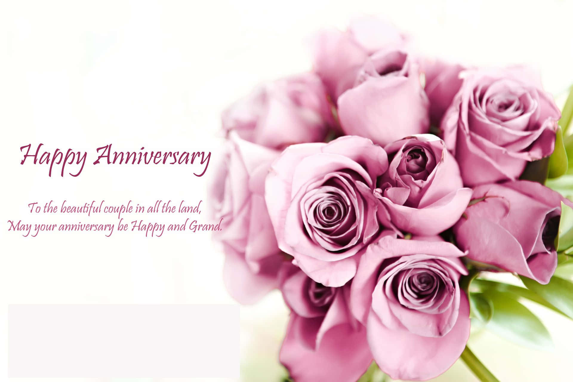 Anniversary 桌布 壁紙 — 一束柔焦粉紅玫瑰，在明亮的白色背景上帶有優雅的手寫體週年紀念文字。