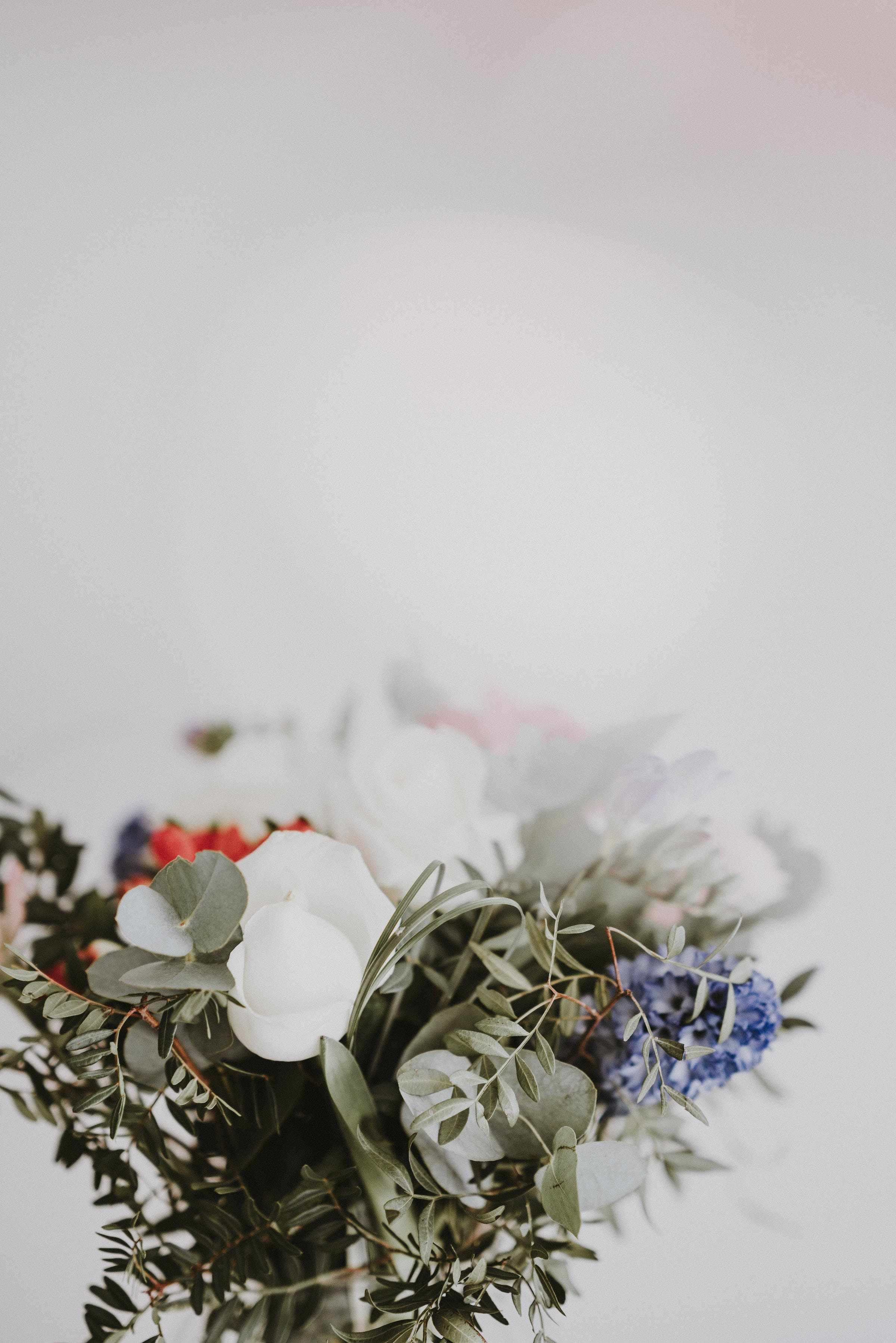 Bouquet 桌布 壁紙 — 一束柔焦花卉，包含白玫瑰、尤加利葉和藍色繡球花，襯托在明亮的白色背景上。