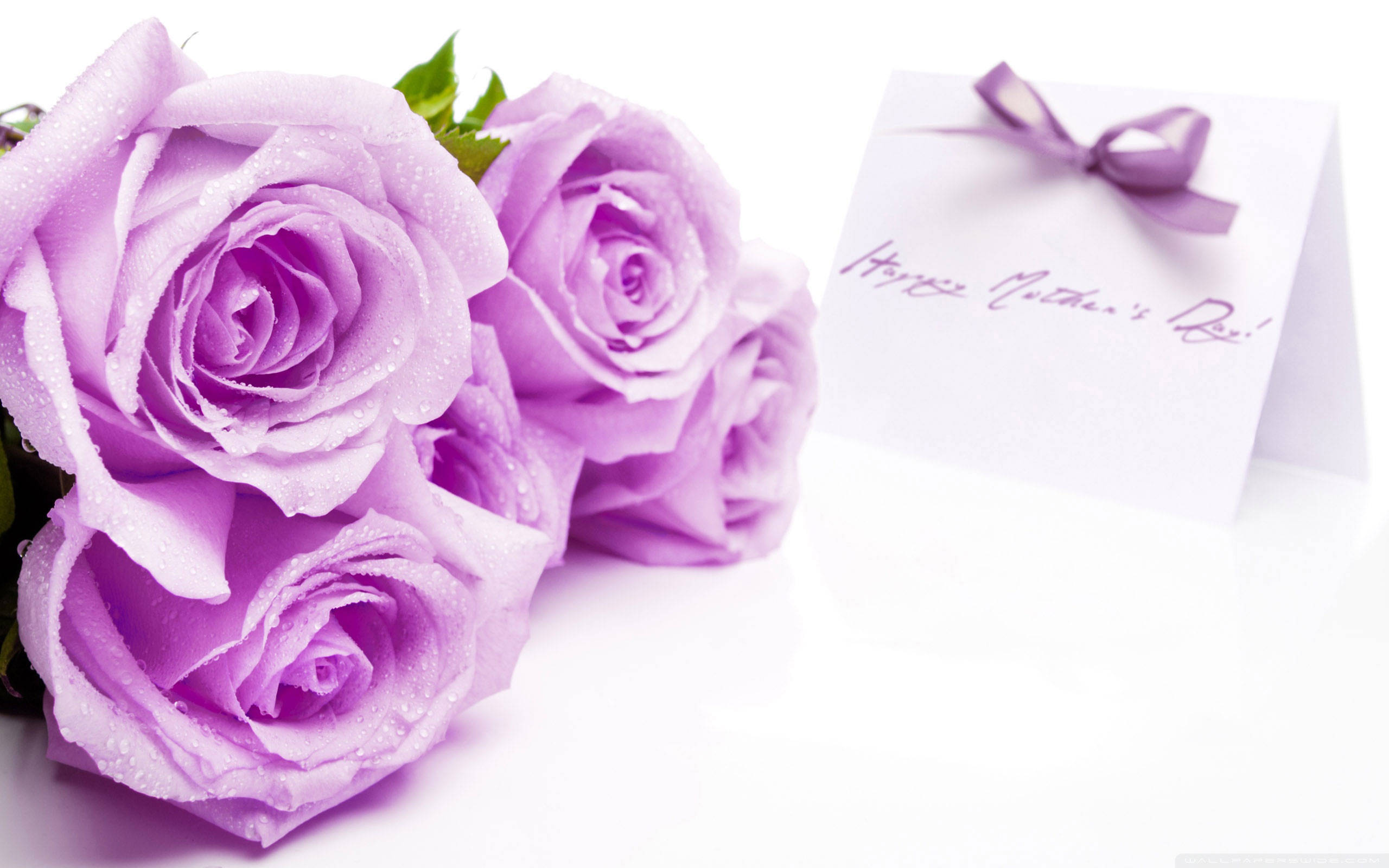 Happy Mothers Day 桌布 壁紙 — 一束沾滿露水的薰衣草玫瑰放在一張用相配絲帶綁著的白色卡片旁邊，慶祝母親節。