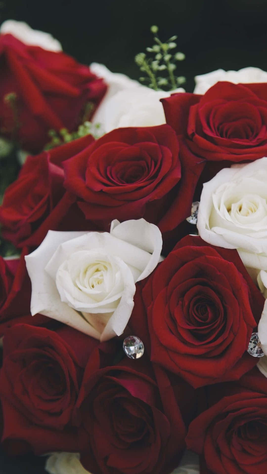 Red And White Roses 桌布 壁紙 — 一束深紅和純白玫瑰，點綴閃爍水晶裝飾，襯托深色背景。