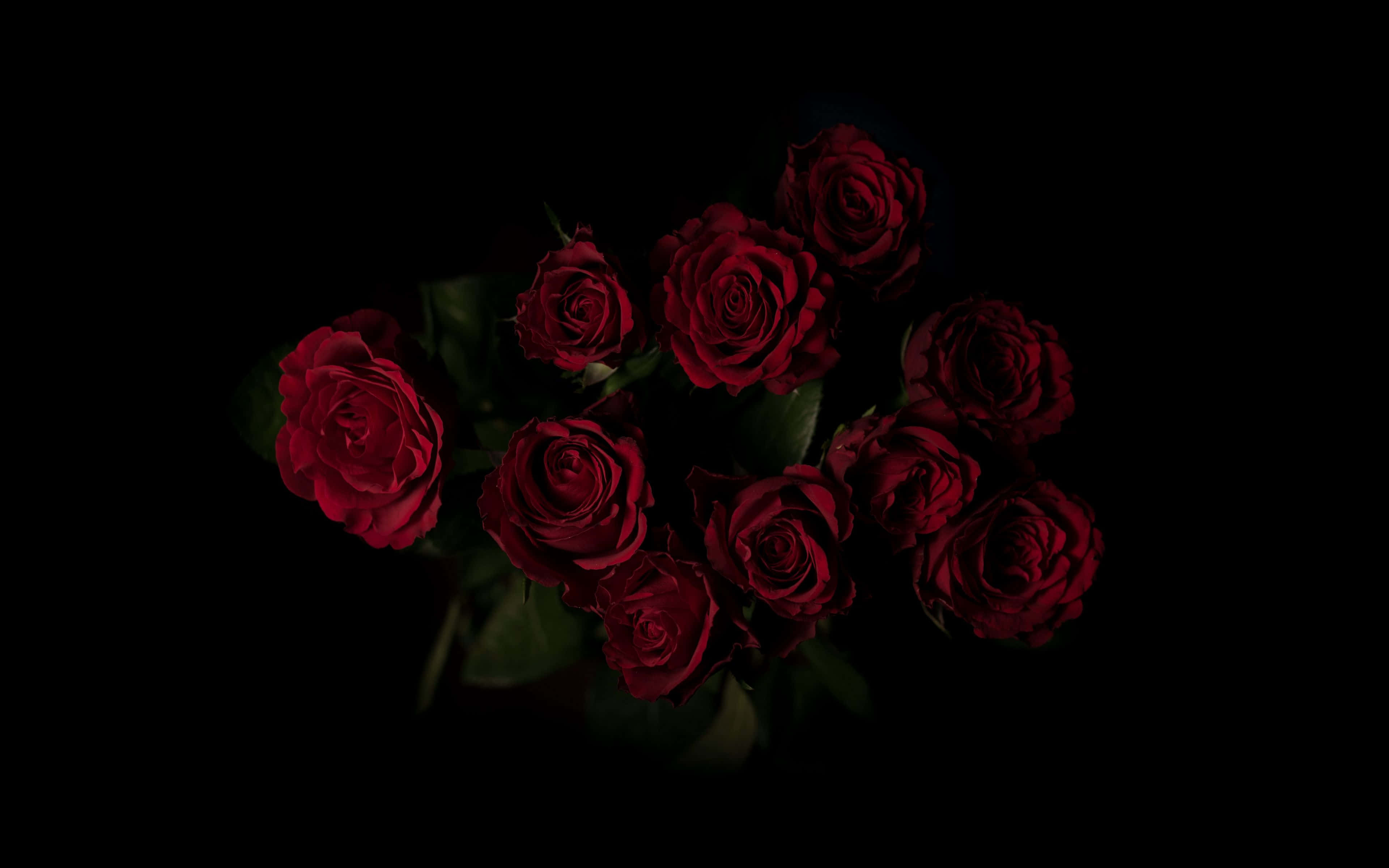 Valentines Day Roses 桌布 壁紙 — 一束深紅玫瑰在漆黑背景下戲劇性地發光，花瓣在聚焦光線下顯得豐潤如絲絨。
