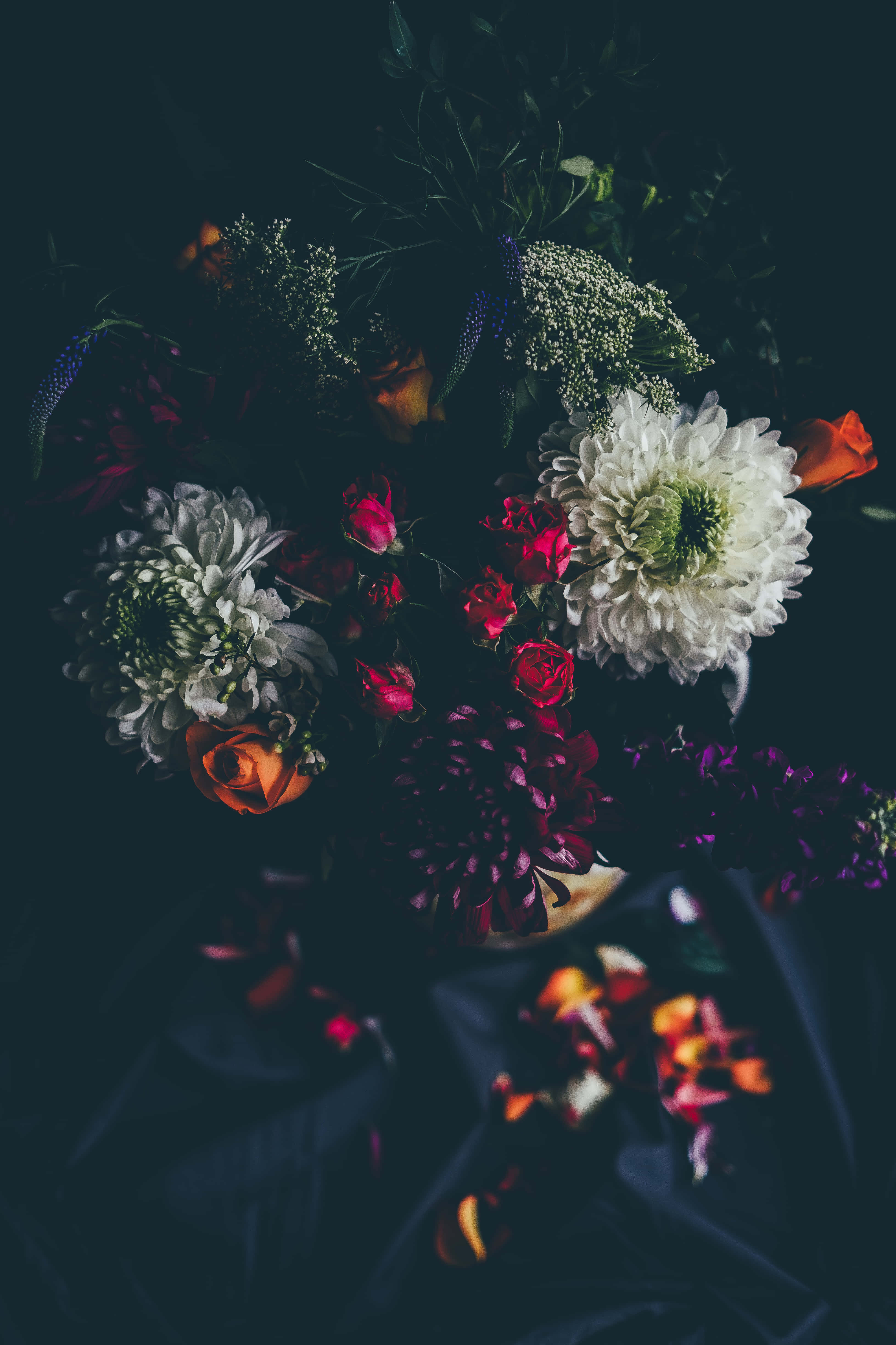 暗色花卉 桌布 壁紙 — 一束由白色、紅色和橙色花朵組成的戲劇性花束，搭配深綠色葉子，以黑暗陰鬱的背景為襯托。