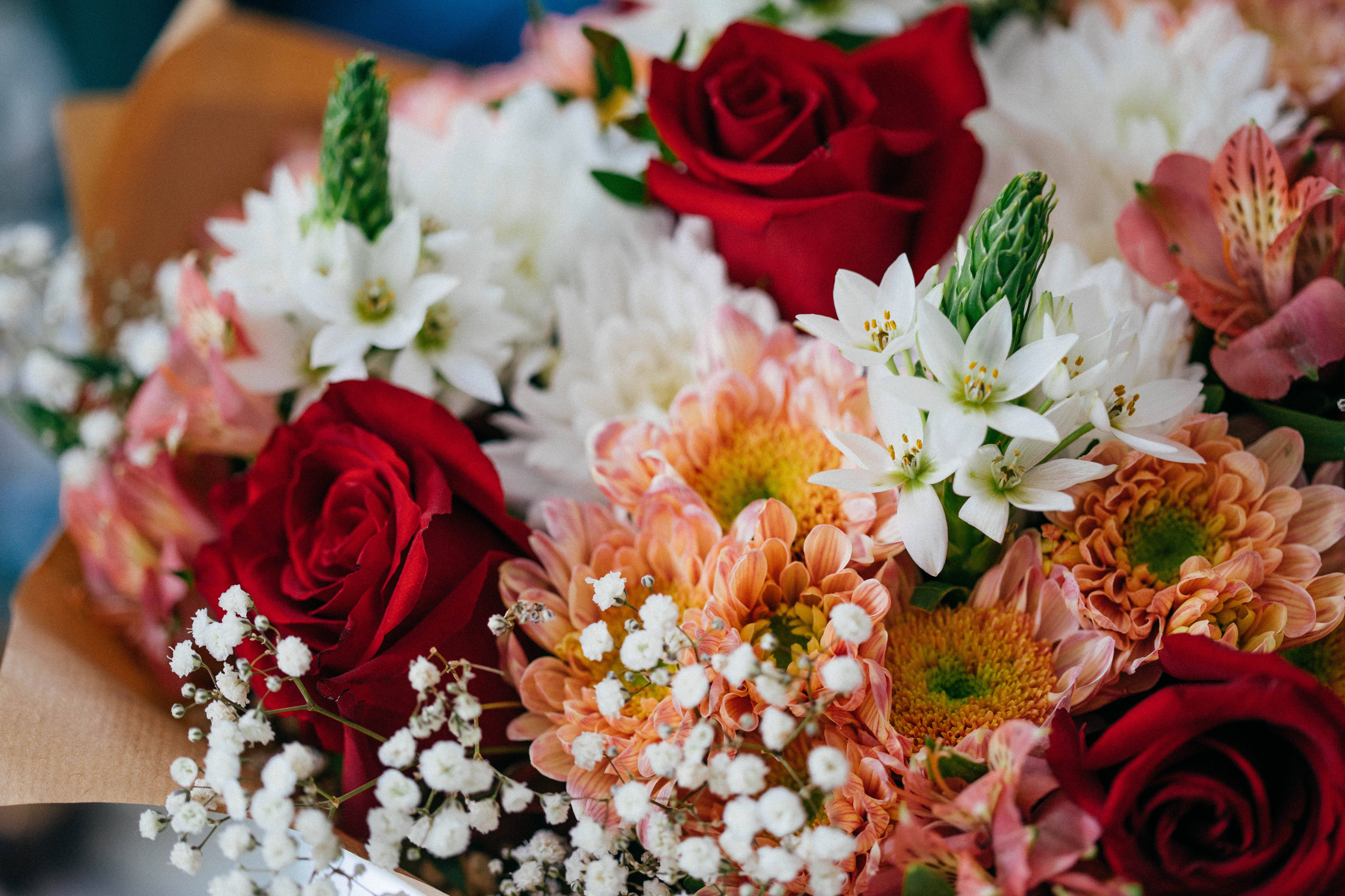 Roses 桌布 壁紙 — 一束由紅玫瑰、蜜桃色菊花和白色填充花組成的茂盛花束，用棕色紙包裹。