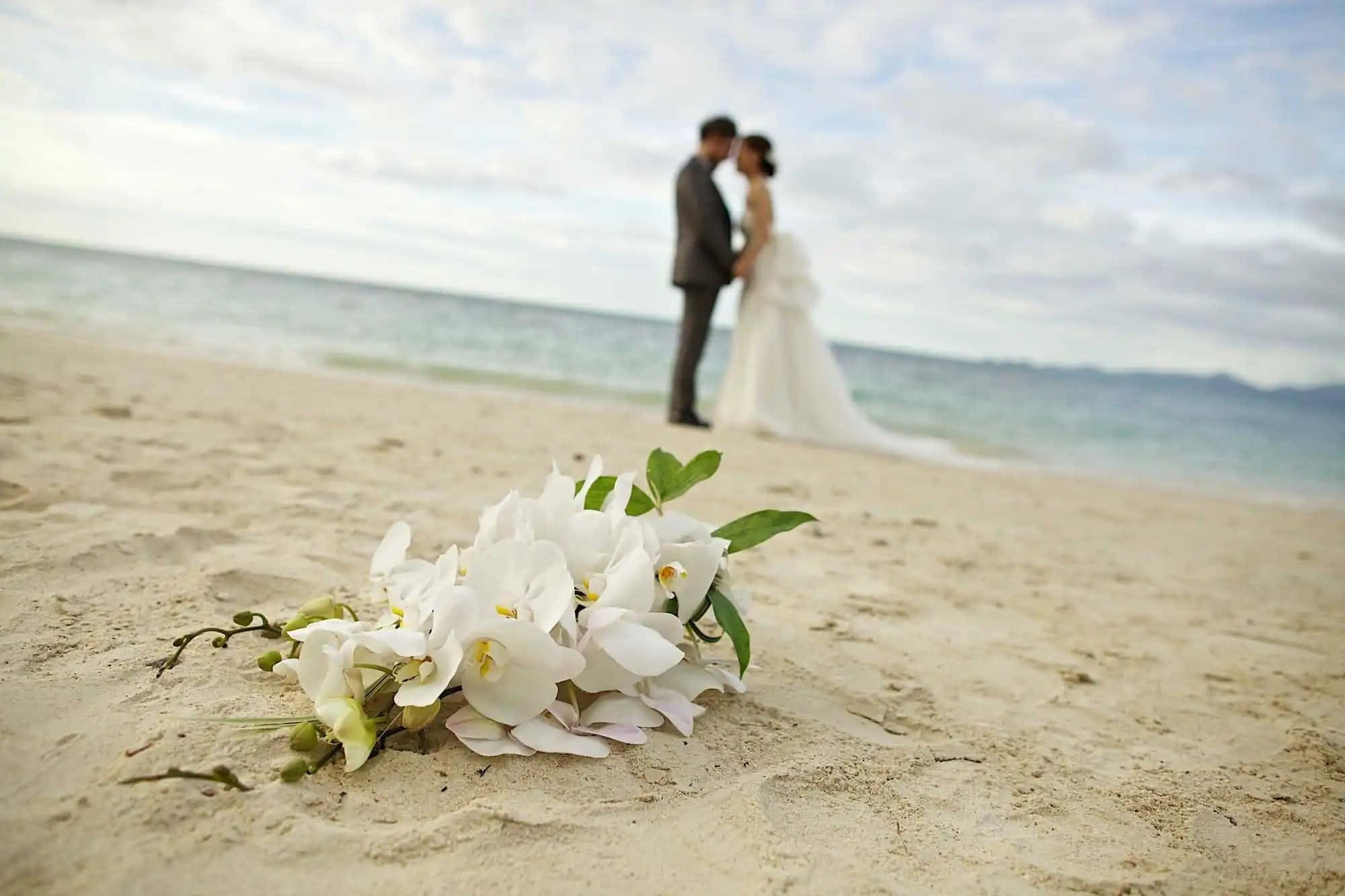 Wedding Couple 桌布 壁紙 — 一束白色蘭花放在沙灘前景，模糊的新郎新娘在海洋地平線附近接吻。