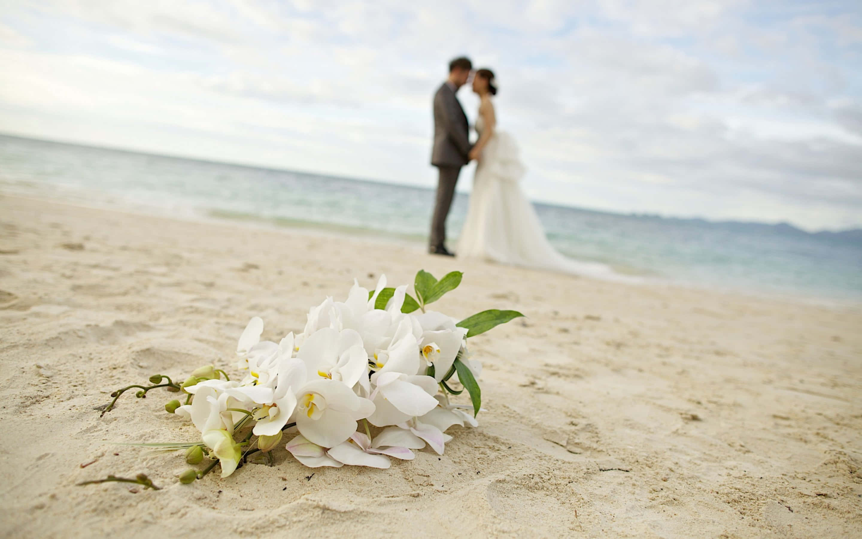 Wedding 桌布 壁紙 — 一束白色蘭花放在沙灘前景，模糊的新郎新娘在海洋地平線附近接吻。