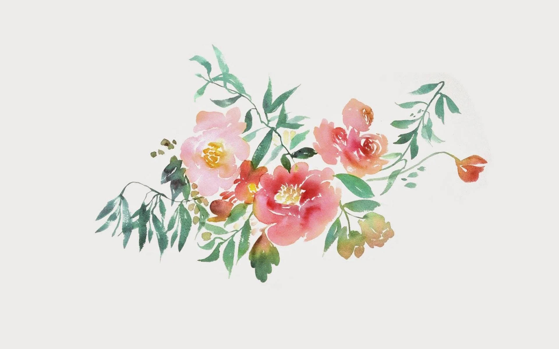 粉紅色和珊瑚色花朵與綠色葉子的水彩畫。