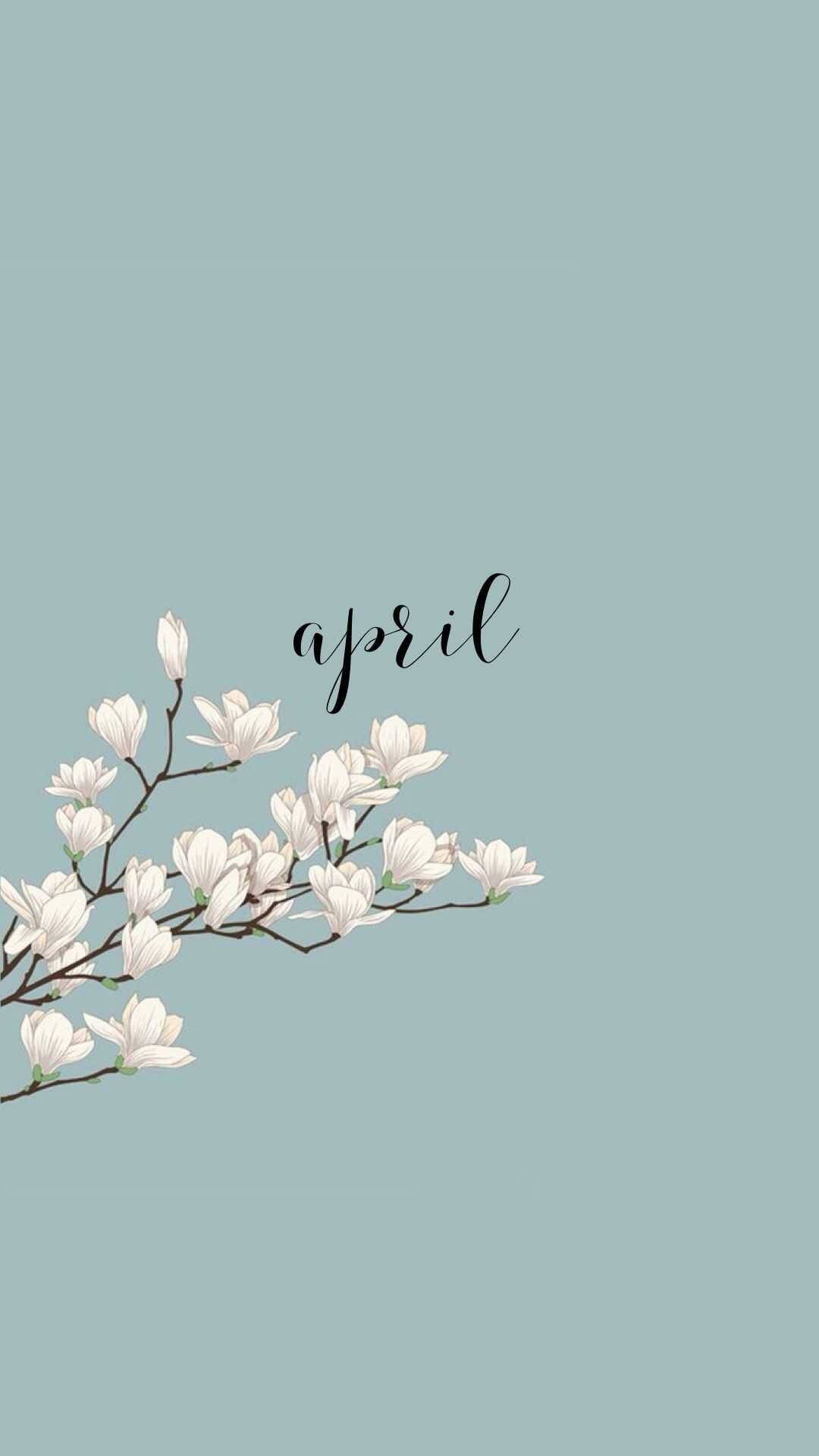Spring Aesthetic 桌布 壁紙 — 一束精緻的白木蘭花在柔和的青綠色背景上綻放，並以優雅的手寫字體寫上「april」一詞。