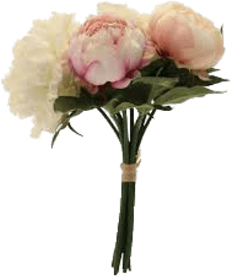 Peony 桌布 壁紙 — 一束精緻的粉白色牡丹花，搭配翠綠的莖葉，用天然麻繩捆紮，襯以純黑背景。