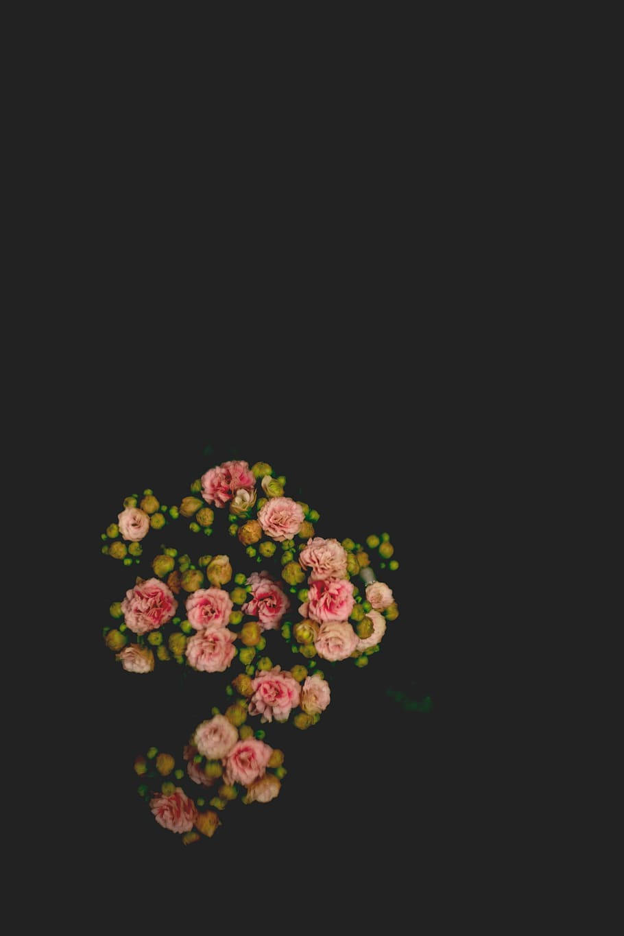 Pink Flowers 桌布 壁紙 — 一束精緻的粉紅玫瑰和綠色花蕾在深黑色背景上漂浮。
