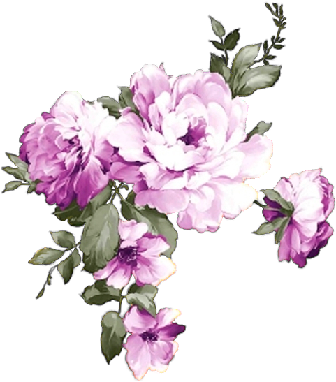 Peony 桌布 壁紙 — 一束精緻的紫白色牡丹，配以綠葉，在純黑背景上優雅地垂落。