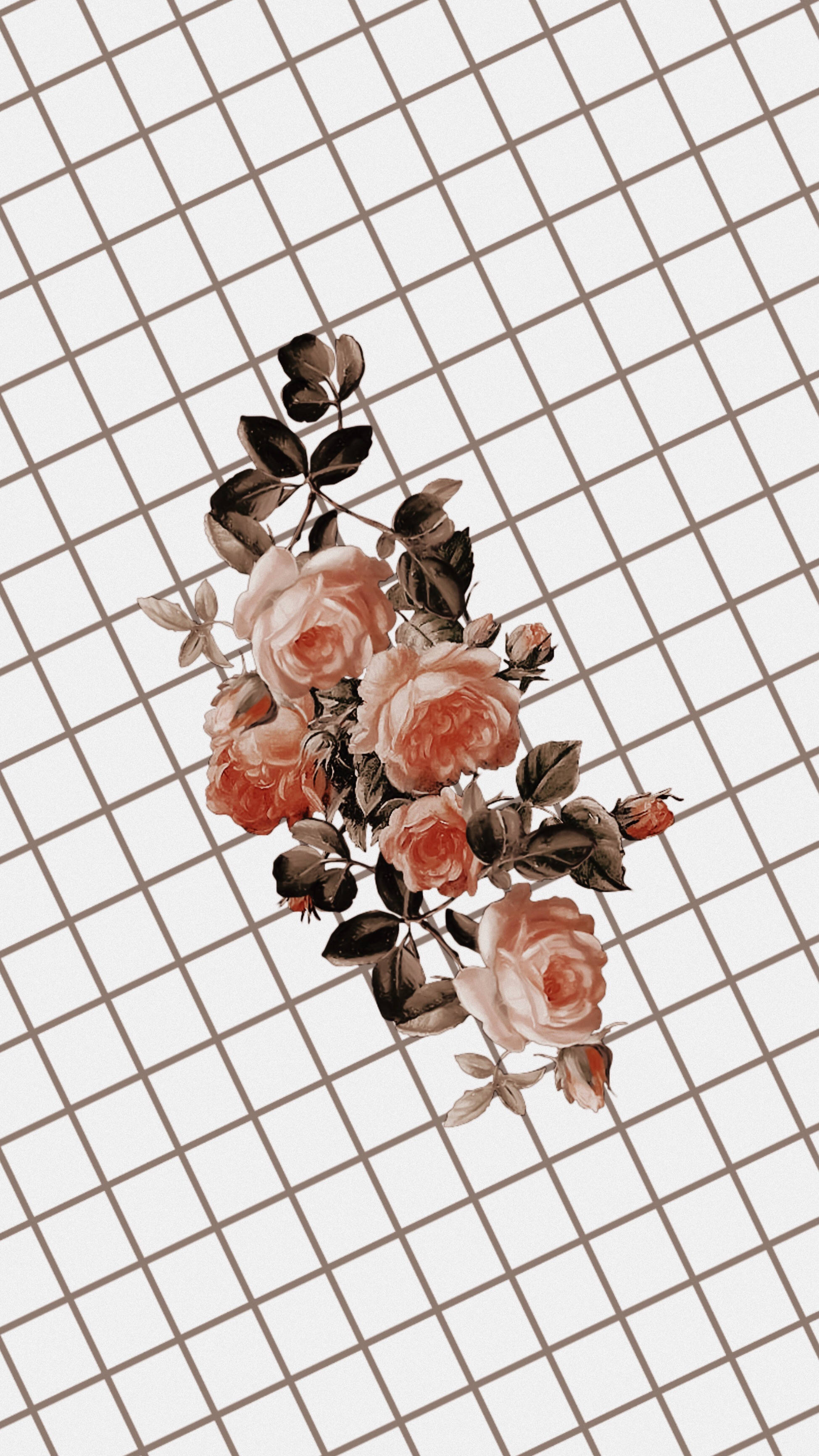 Rose Flower 桌布 壁紙 — 一束精緻的蜜桃色玫瑰，配以深色葉子，在柔和的米色網格背景上對角漂浮。