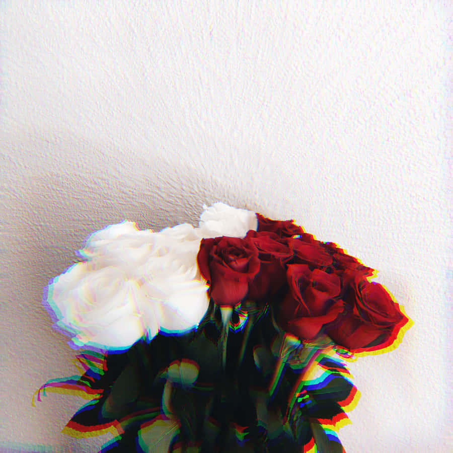 桌布 壁紙 — 一束紅白玫瑰，帶有故障藝術效果，背景為有紋理的白色牆壁。