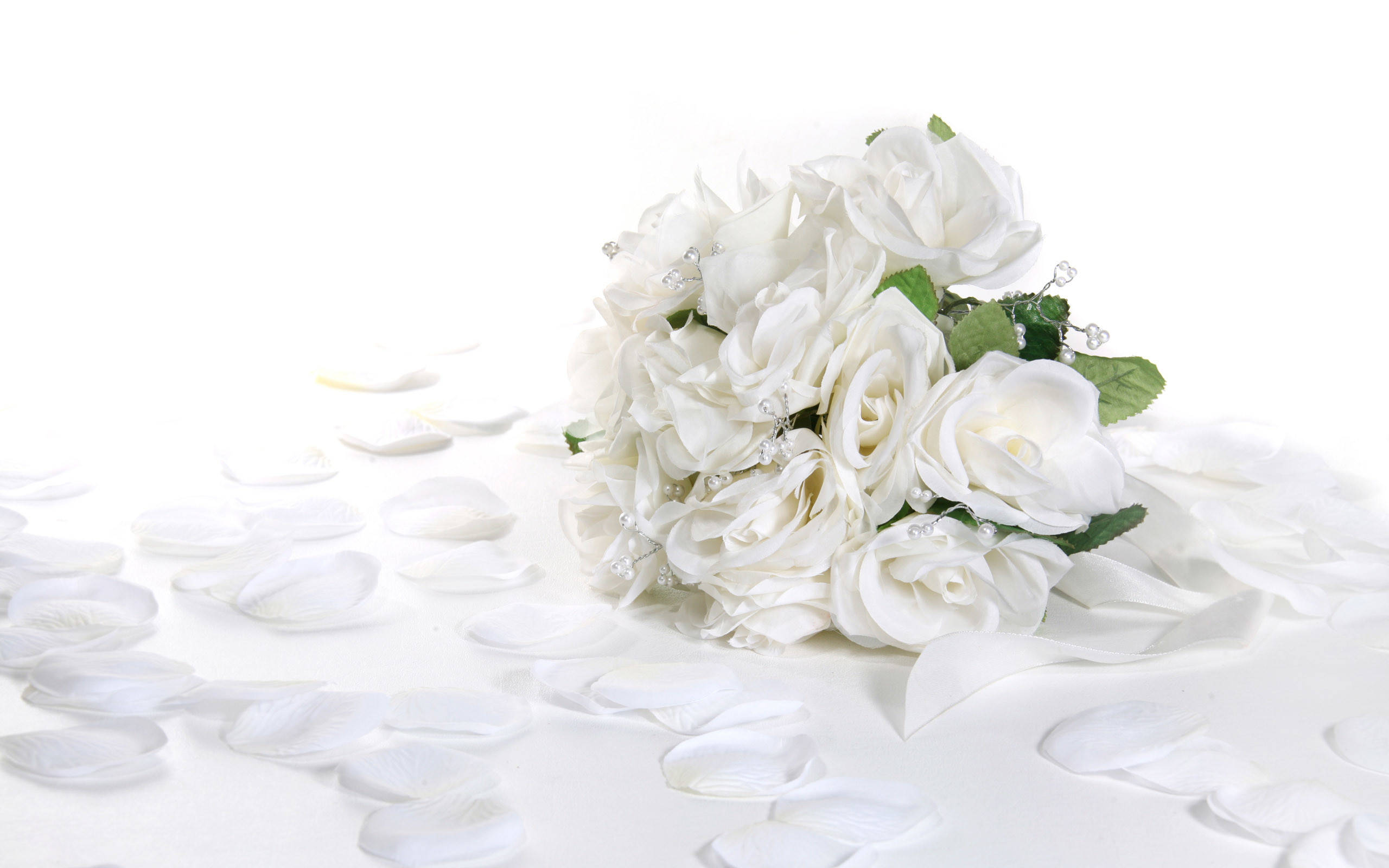 Bridal 桌布 壁紙 — 一束純潔的白玫瑰，散落的花瓣，放在純白色的表面上，點綴著精緻的綠葉和閃閃發光的珠子。