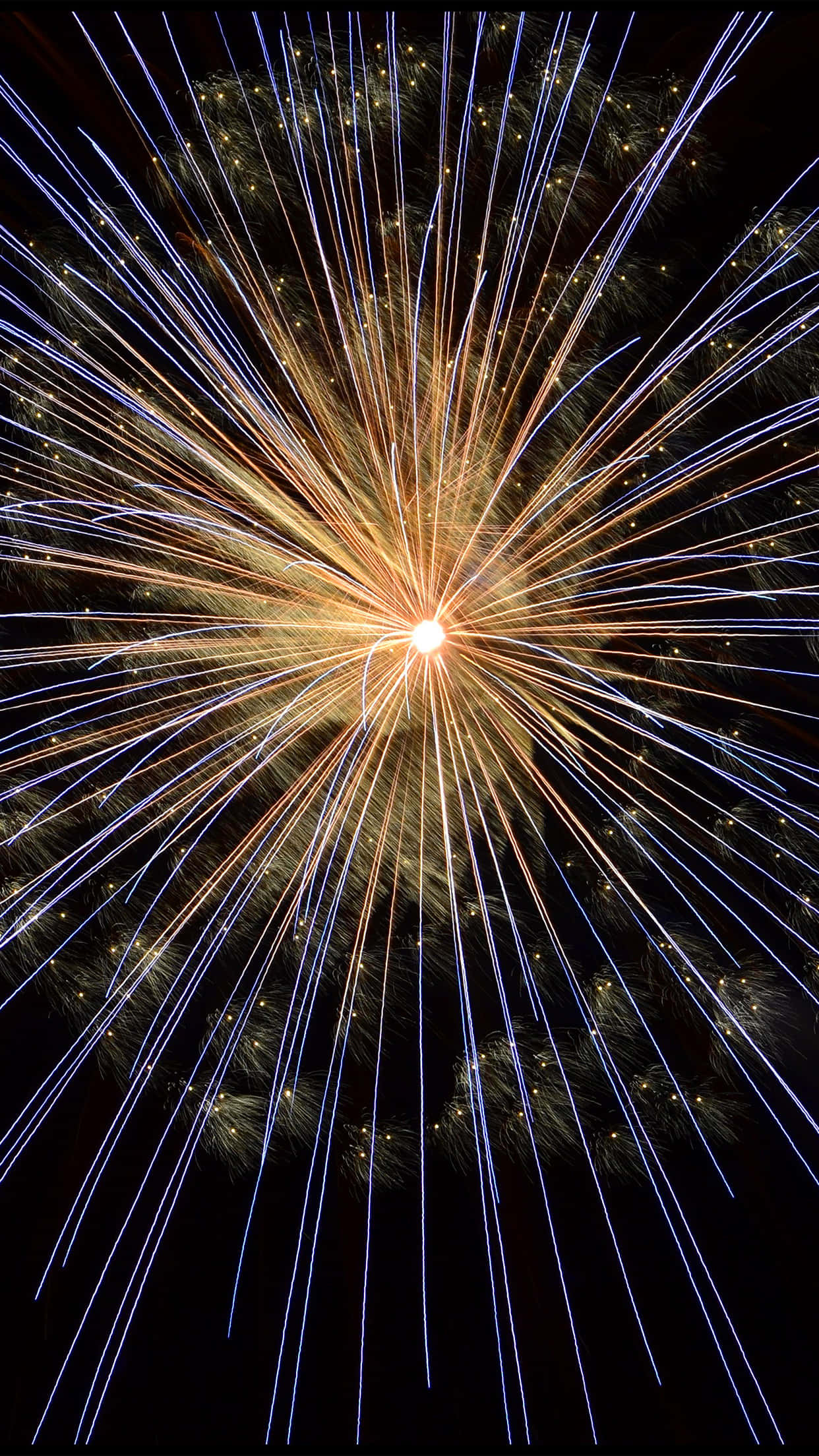 Happy New Year iPhone 桌布 壁紙 — 一束耀眼的煙火爆炸在黑暗的夜空中散發出金色和藍色的條紋，遠處有樹木的剪影。