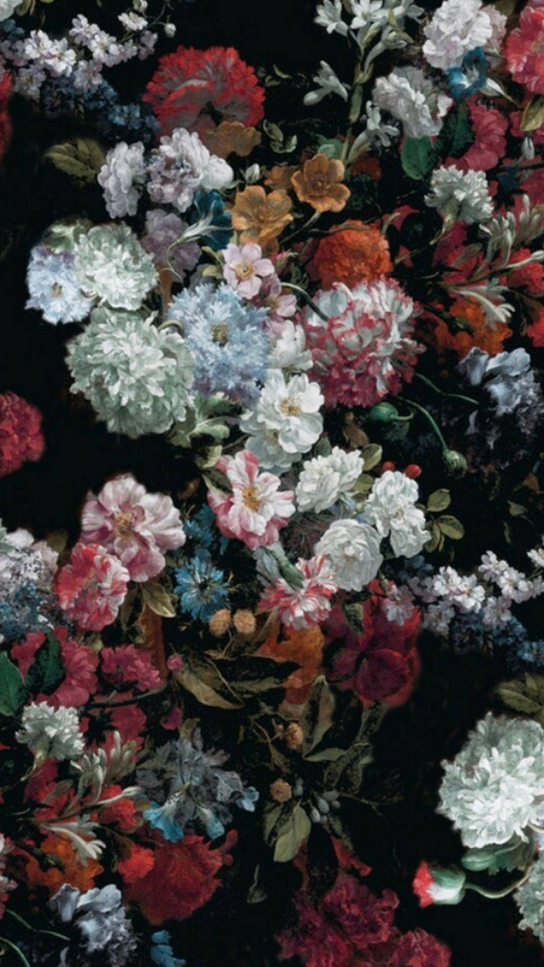 花朵美學動態圖 桌布 壁紙 — 一束色彩繽紛、盛開的奢華花束，襯托在深黑色背景上。