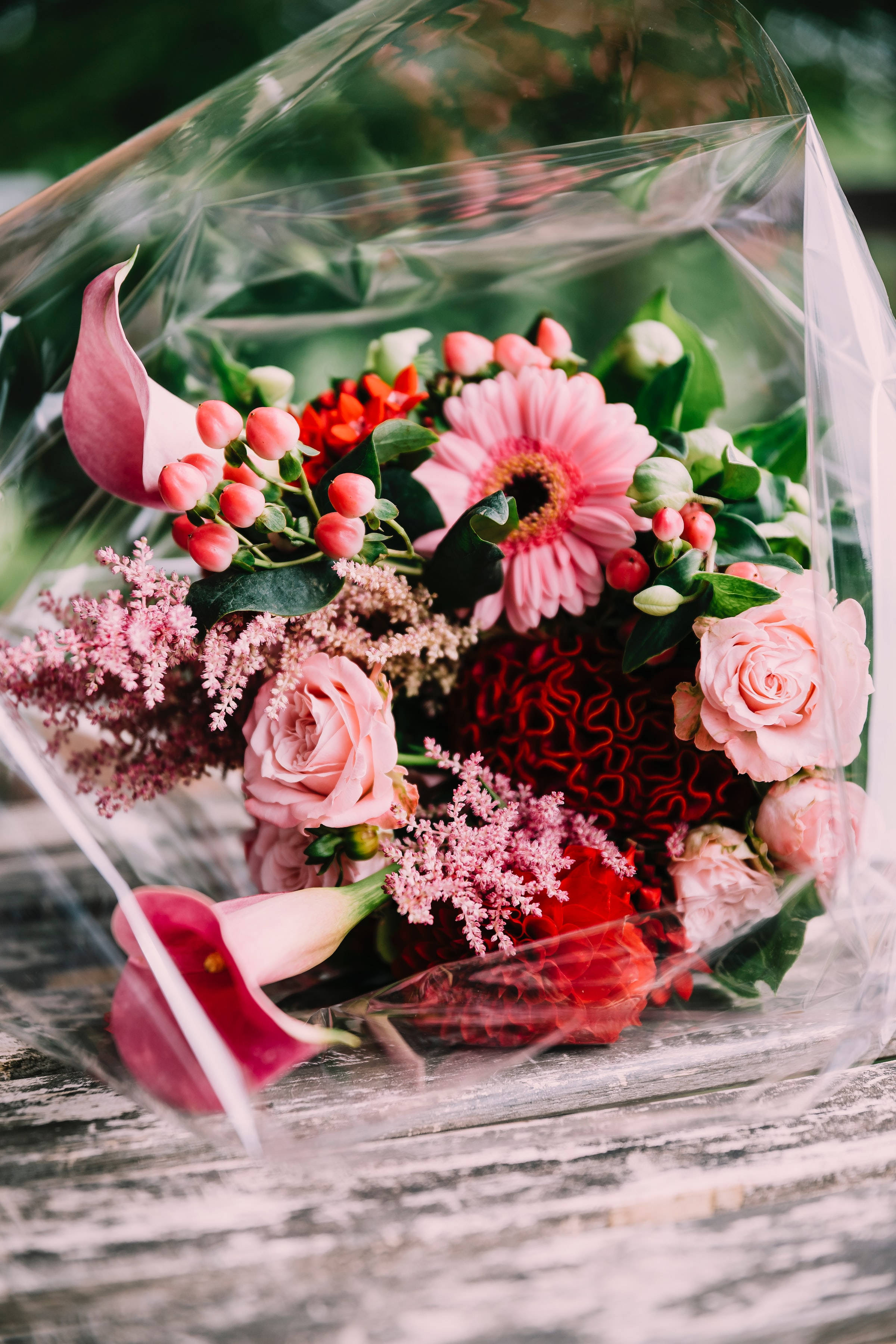 Bouquet 桌布 壁紙 — 一束色彩鮮豔的粉紅玫瑰、非洲菊和馬蹄蓮，用透明玻璃紙包裹，放在風化的木質表面上。