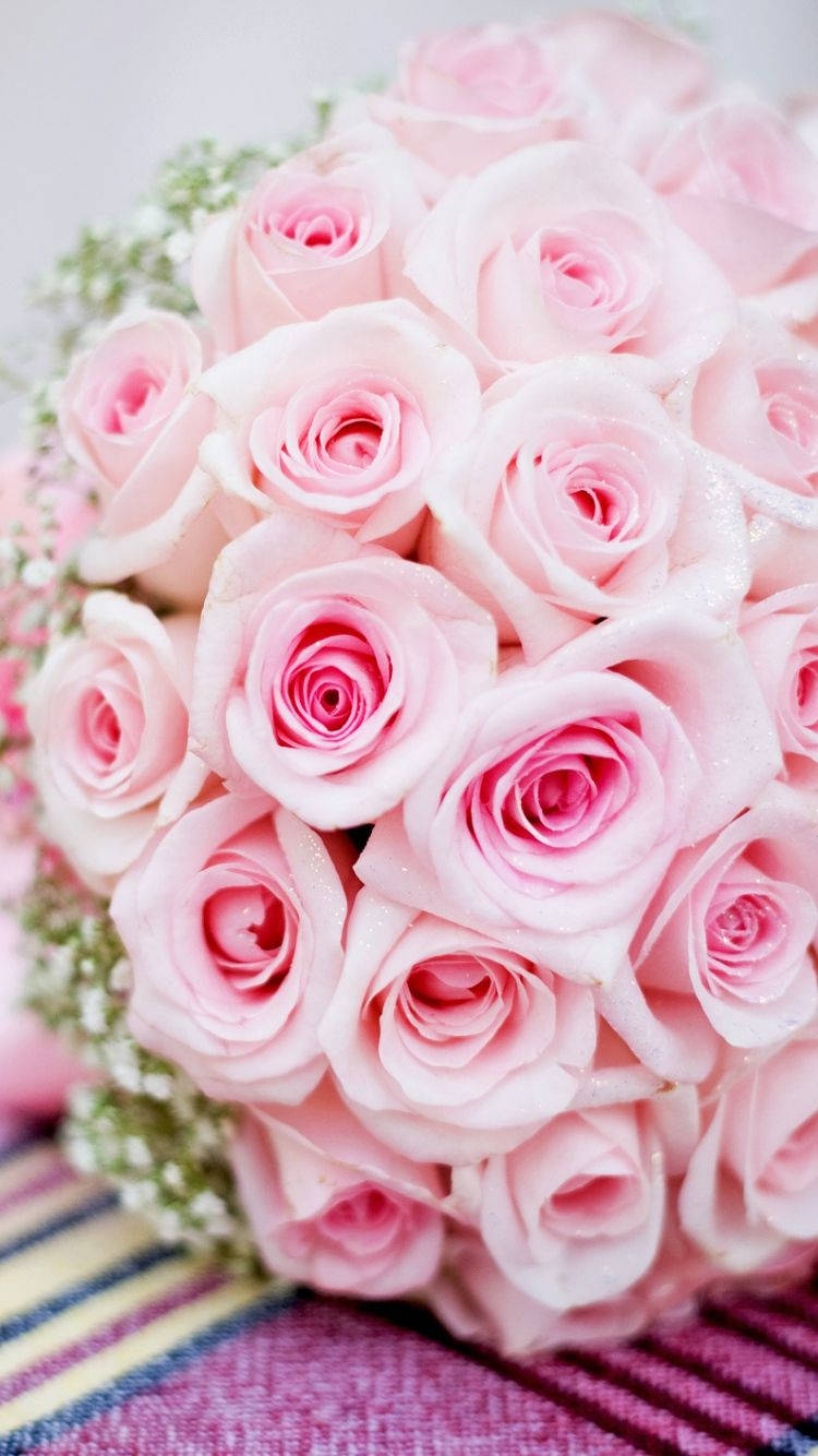 Rose iPhone 桌布 壁紙 — 一束茂盛的柔粉玫瑰，帶有露珠，放在色彩繽紛的條紋布料上。