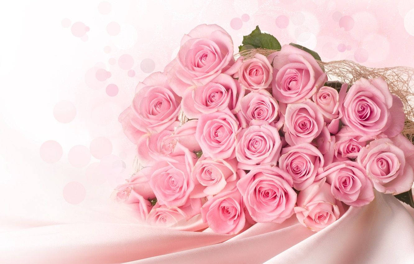 Roses 桌布 壁紙 — 一束茂盛的柔粉色玫瑰放在緞面布料上，背景是夢幻的粉紅色散景。