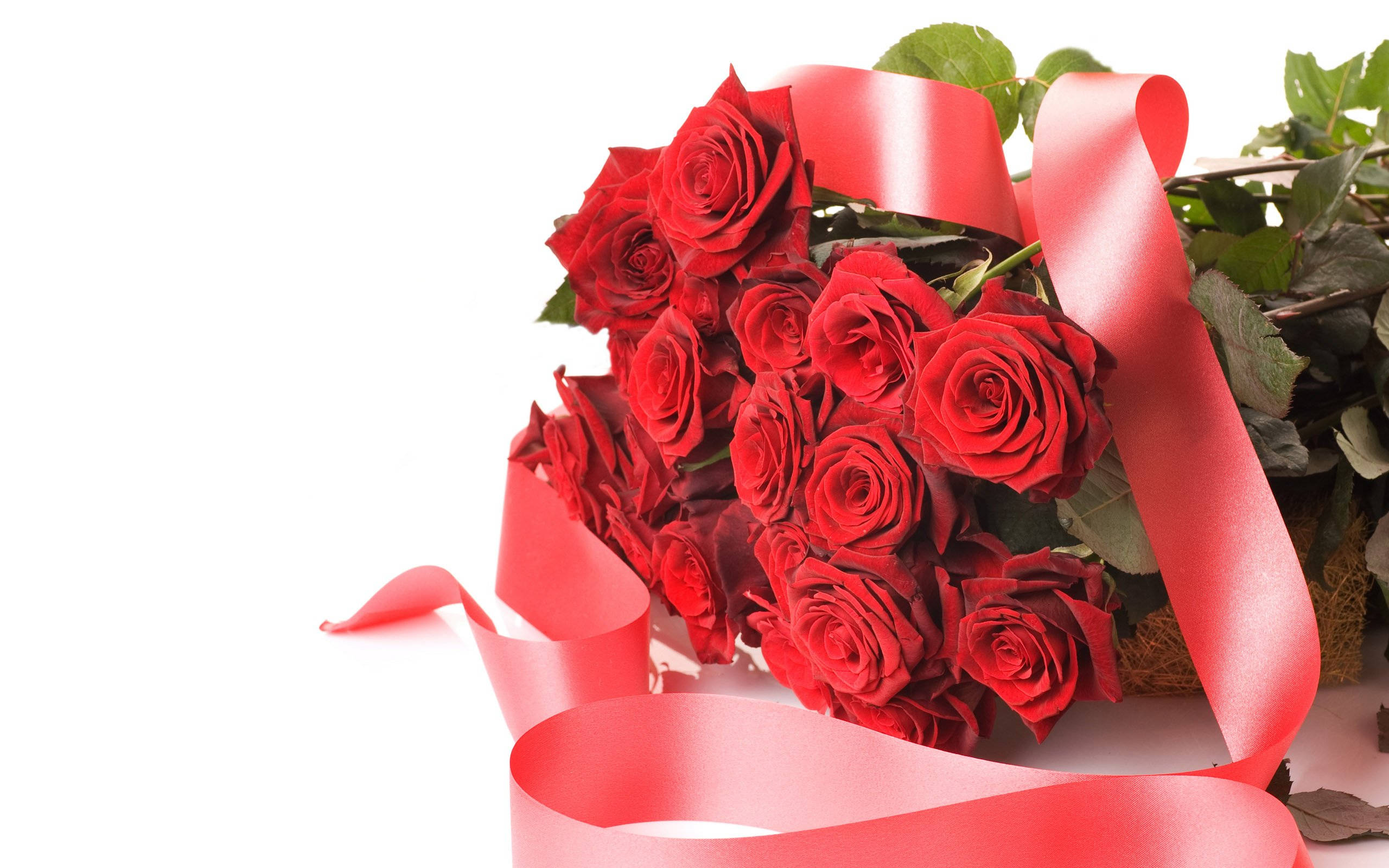 Rose Flower 桌布 壁紙 — 一束茂盛的深紅玫瑰，用相配的緞帶繫著，襯在純白背景上。
