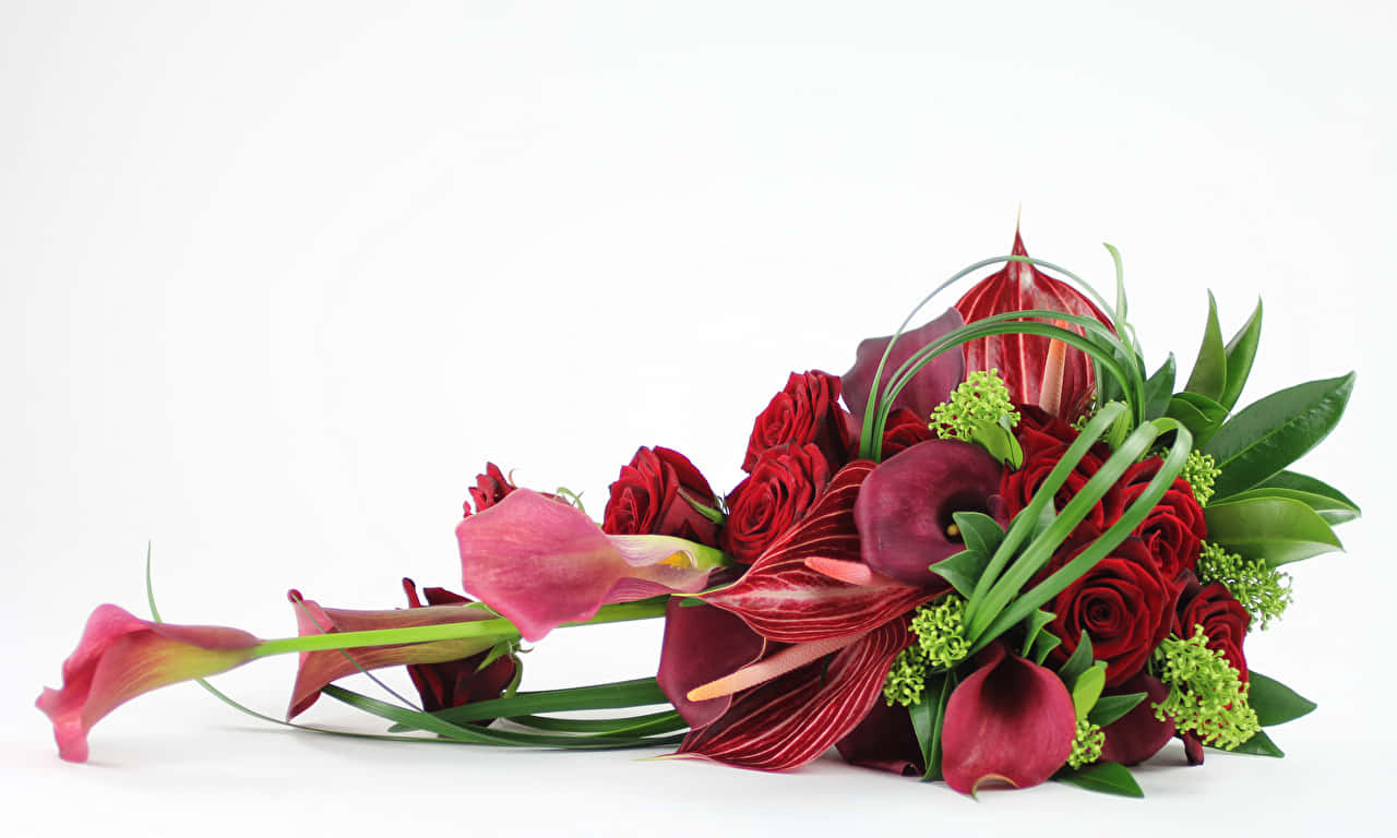 1280x768 Rose 桌布 壁紙 — 一束茂盛的深紅玫瑰、馬蹄蓮和綠植，以對角線排列在純白背景上。