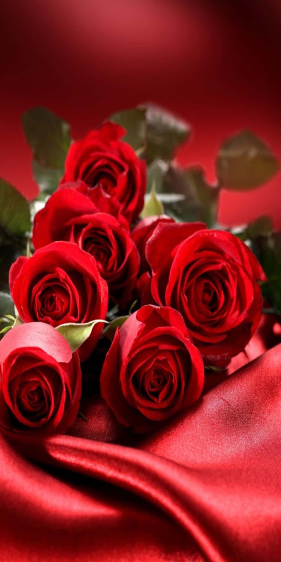 Pixel 3 Roses 桌布 壁紙 — 一束茂盛的深紅玫瑰優雅地放在相配的緞面布料上，襯托著豐富的紅色背景。