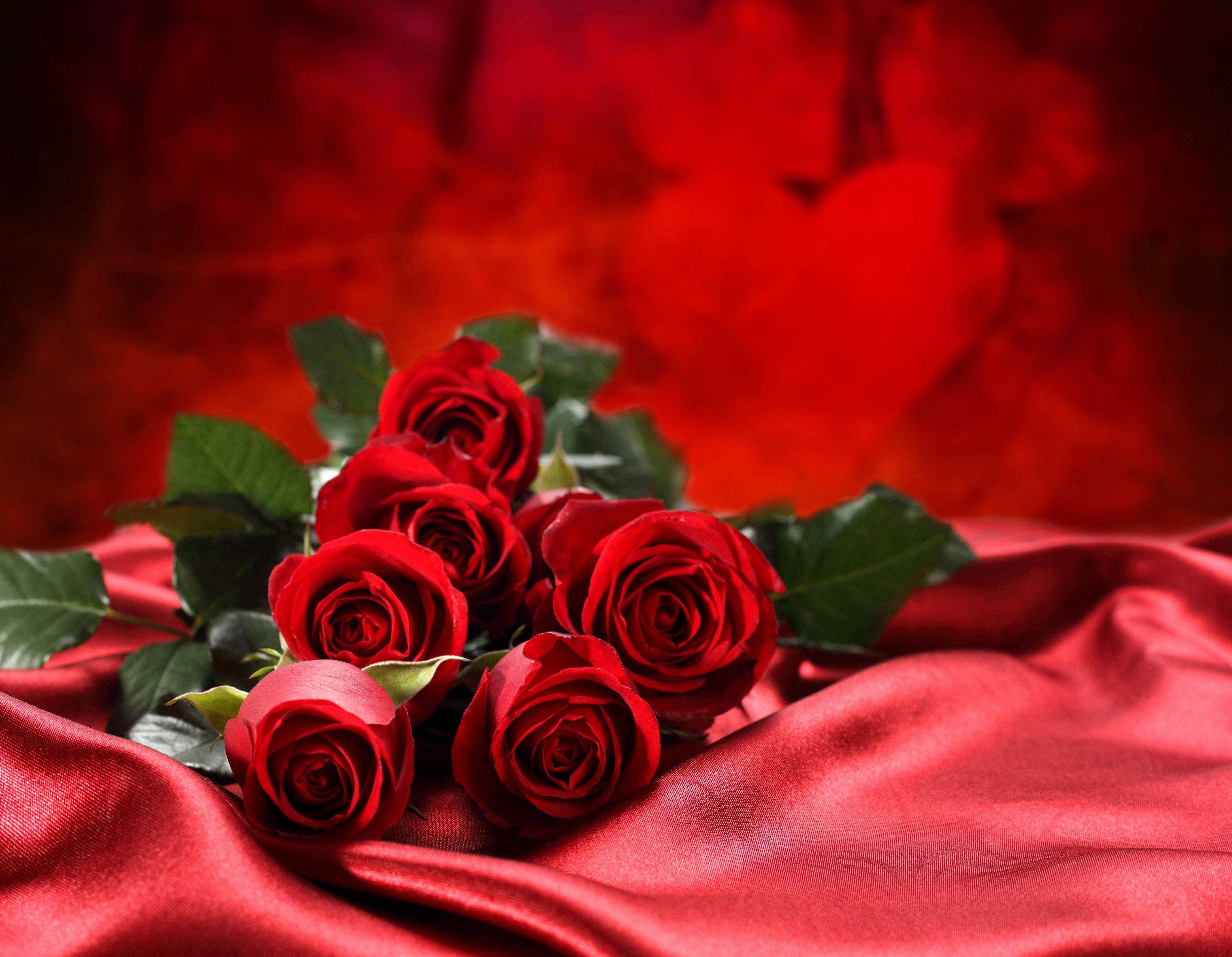 Red Roses 桌布 壁紙 — 一束茂盛的深紅玫瑰放在絲滑的紅色布料上，背景是模糊的心形。