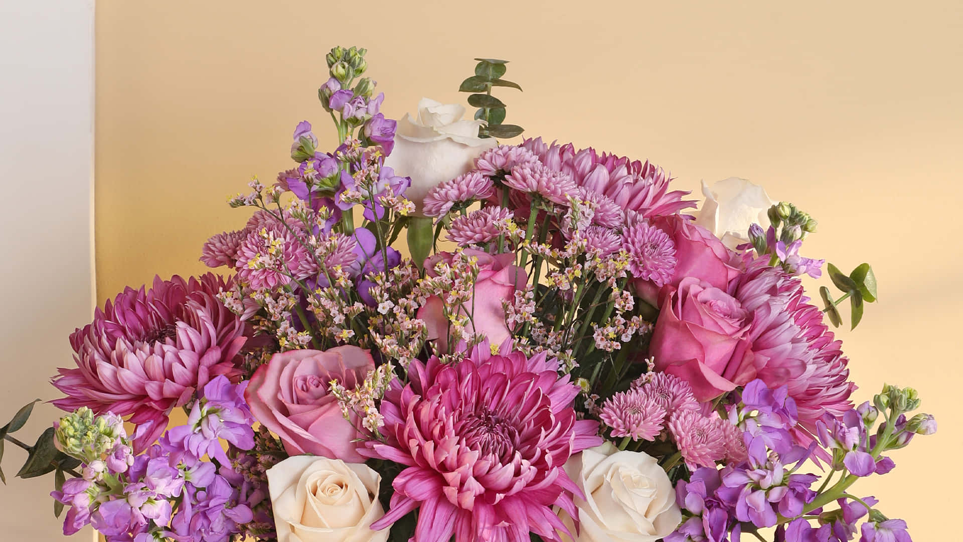 Purple Floral 桌布 壁紙 — 一束茂盛的粉紅玫瑰、菊花和薰衣草花朵，排列在柔和的米色背景上。