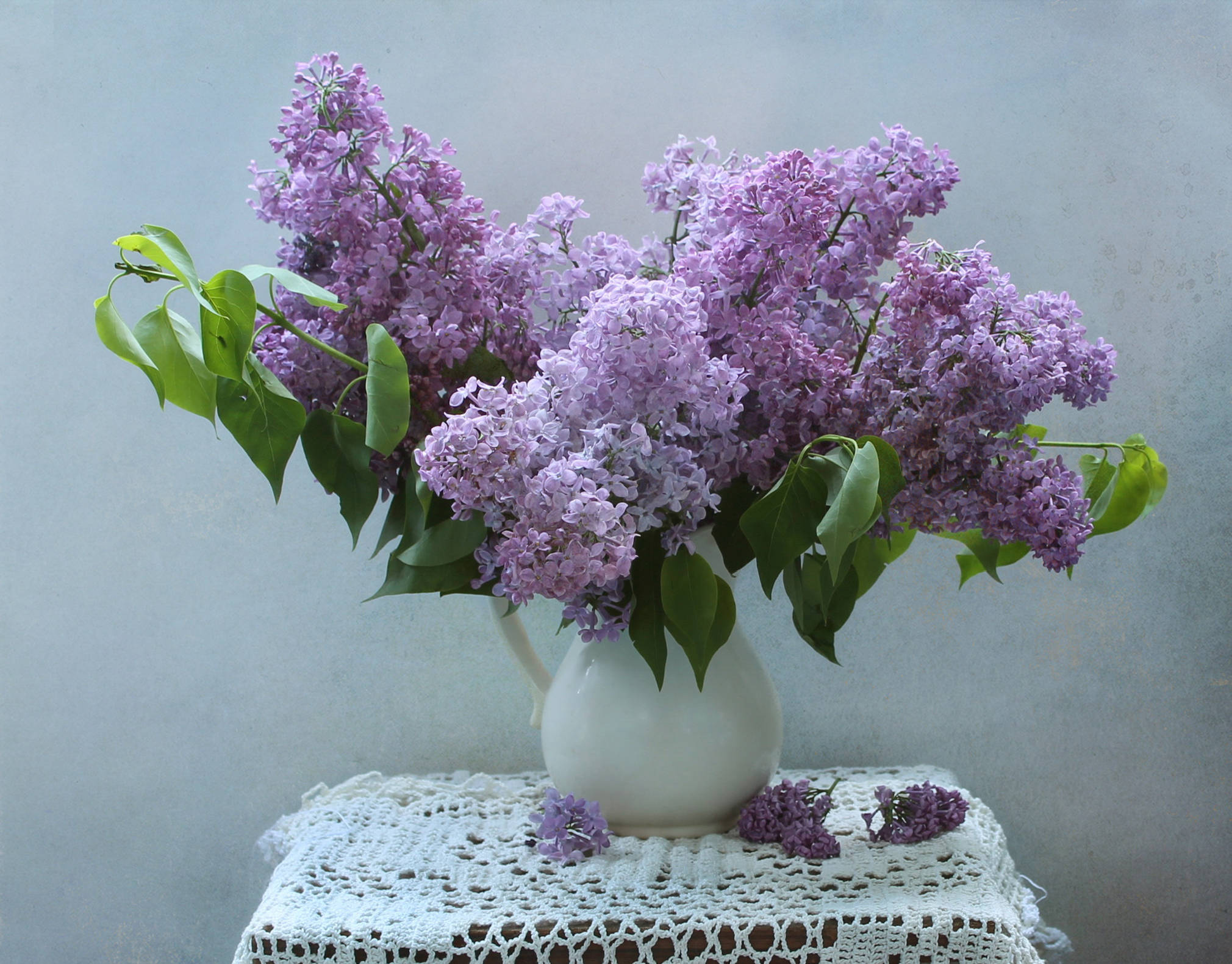 Purple Flowers 桌布 壁紙 — 一束茂盛的紫色丁香花放在白色陶瓷壺中，置於蕾絲桌墊上，背景是柔和的灰色牆壁。