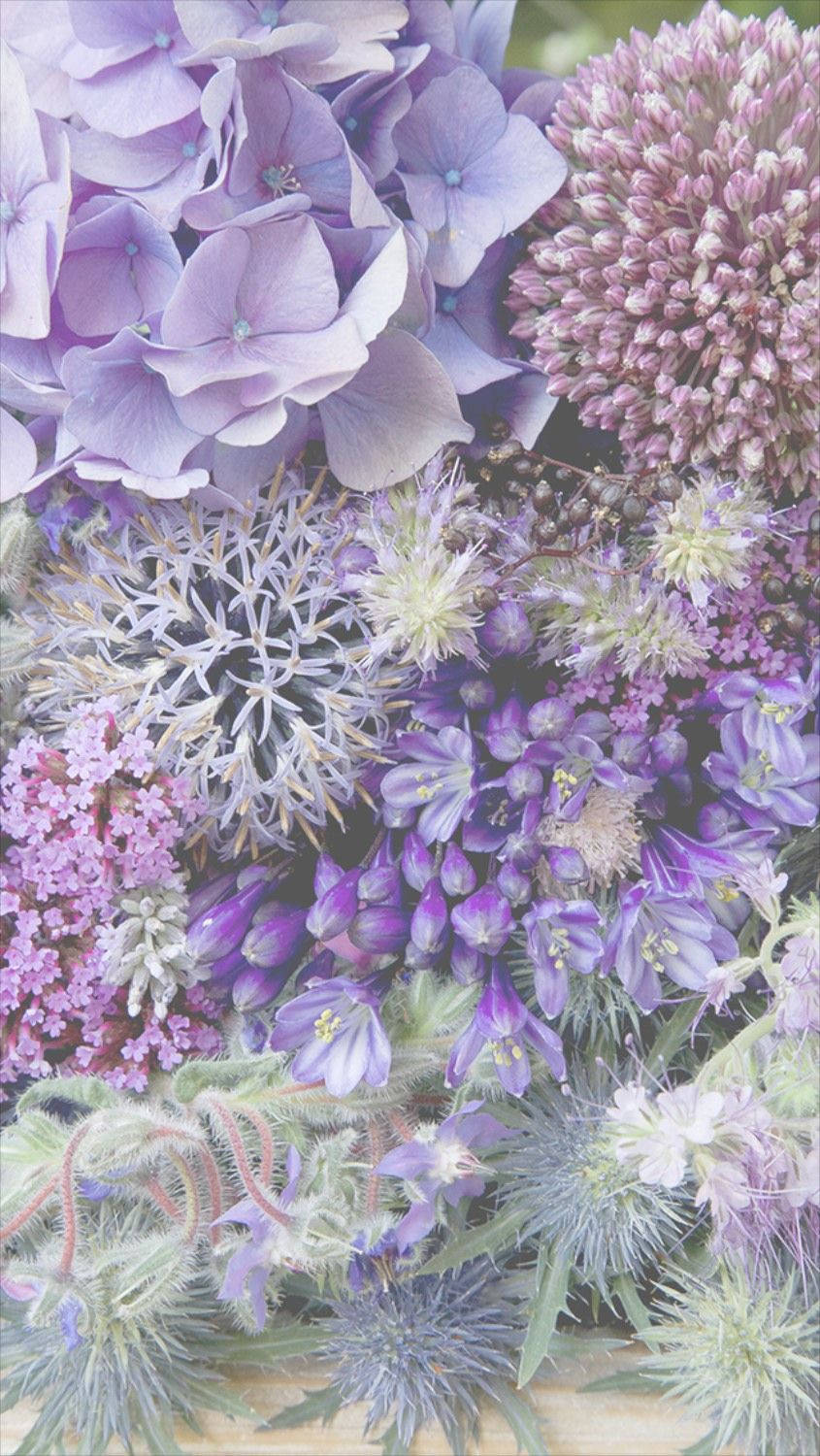 花卉 桌布 壁紙 — 一束茂盛的紫色繡球花、蔥花和多刺的薊，採用柔和的粉彩調。
