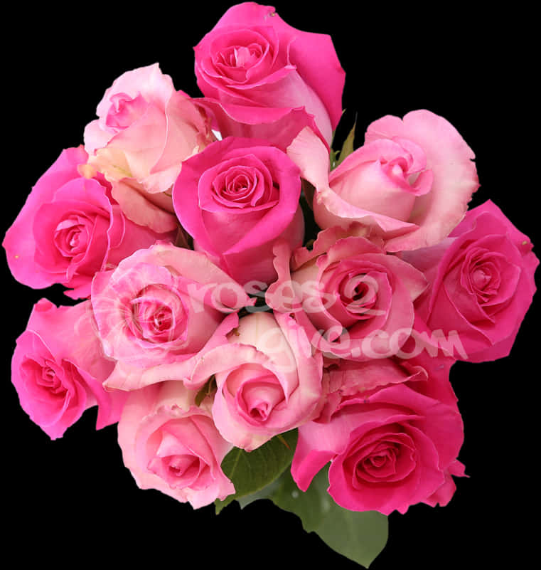 Pink Flower 桌布 壁紙 — 一束茂盛的鮮粉紅玫瑰，帶有柔和漸變和綠葉，襯托在純黑背景上。
