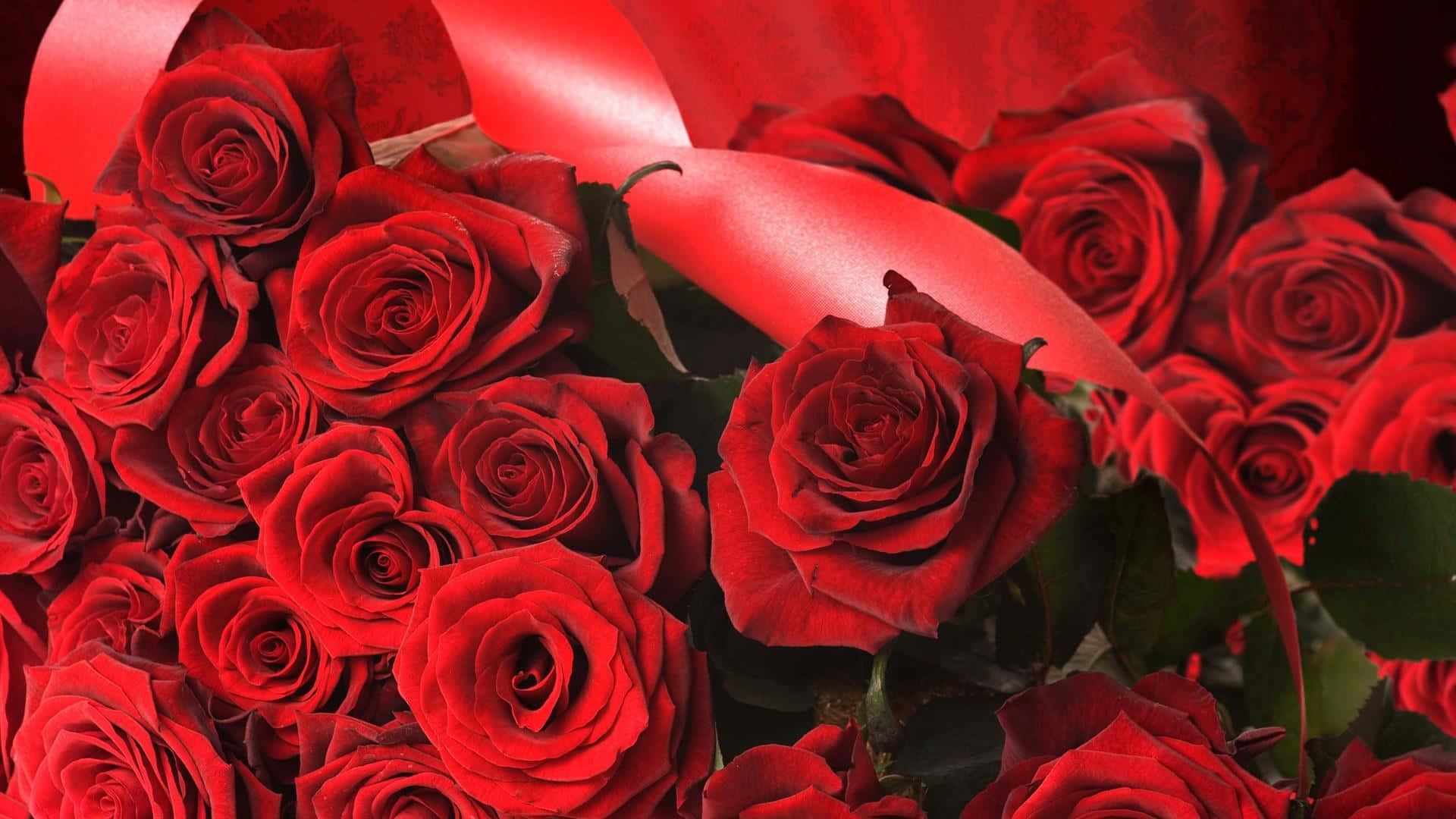Rose Art 桌布 壁紙 — 一束茂盛的鮮紅玫瑰，帶有光澤的花瓣和深綠色的葉子，包裹在飄逸的紅色絲帶中。