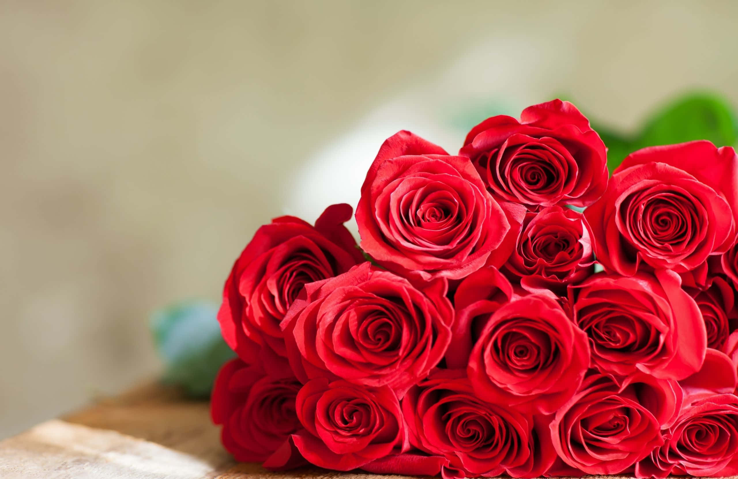 2560x1664 桌布 壁紙 — 一束茂盛的鮮紅玫瑰，花瓣如天鵝絨般柔軟，放置在質樸的木質表面上，背景柔和模糊。