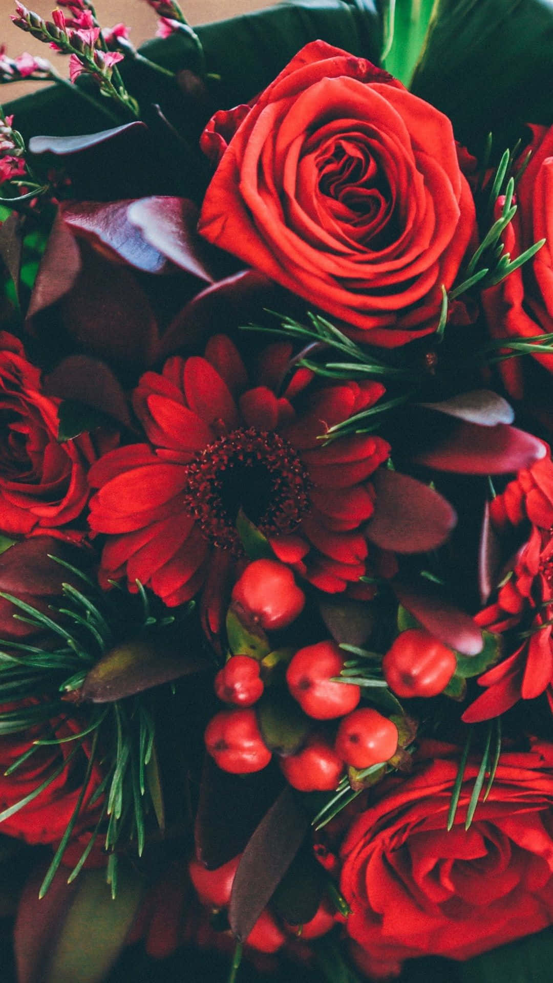 Red Flower 桌布 壁紙 — 一束茂盛的鮮紅玫瑰和非洲菊雛菊，點綴著光澤的紅色漿果和深綠色葉子。