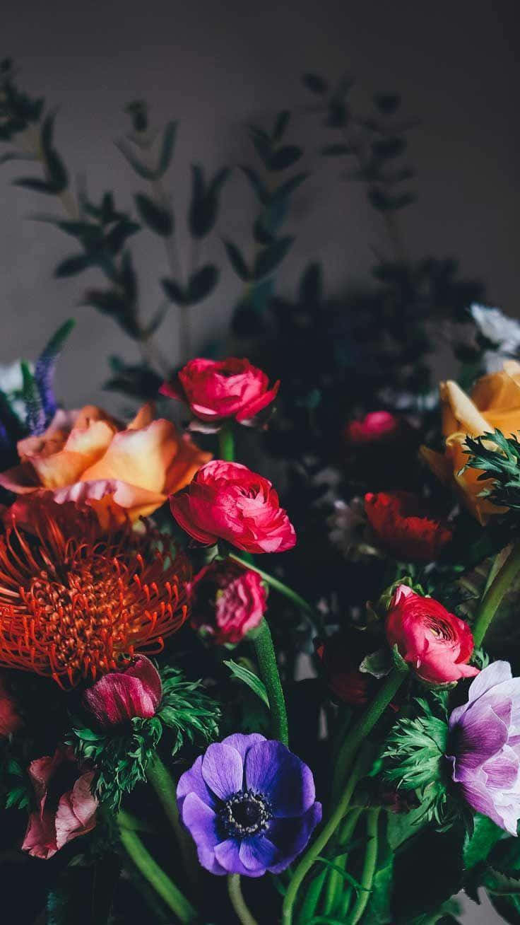 Flowers Aesthetic 桌布 壁紙 — 一束茂盛的鮮豔花朵，包括紫色銀蓮花和橙色帝王花，在深色柔和背景中綻放。