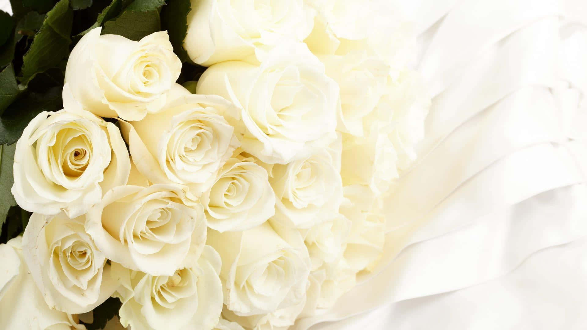 White Rose 桌布 壁紙 — 一束豐盛的奶油白玫瑰，配以柔軟的綠葉，在明亮的光線下放在飄逸的白色布料旁邊。