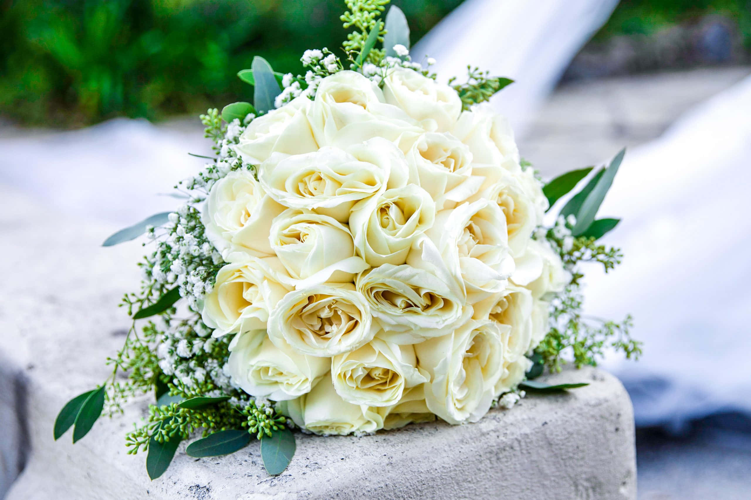Wedding Bouquet 桌布 壁紙 — 一束豐盛的奶油白玫瑰和滿天星放在有紋理的石頭上，以柔和的綠色植物和模糊的白色布料作框架。