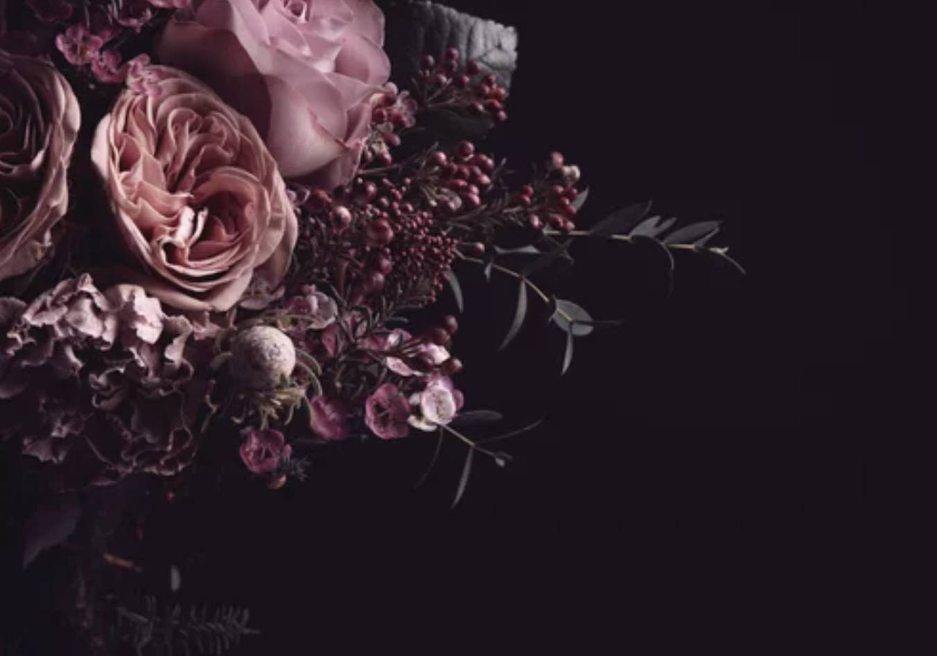 Bouquet 桌布 壁紙 — 一束豐盛的灰粉紅玫瑰和深紫色漿果在純黑背景下柔和發光。