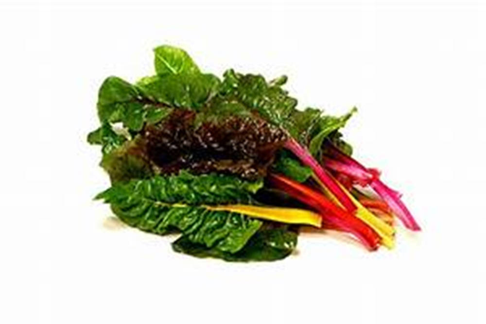 Food Photography 桌布 壁紙 — 一束鮮豔的彩虹甜菜，深綠色葉片和紅、黃、粉色的彩色莖幹，襯在純白背景上。
