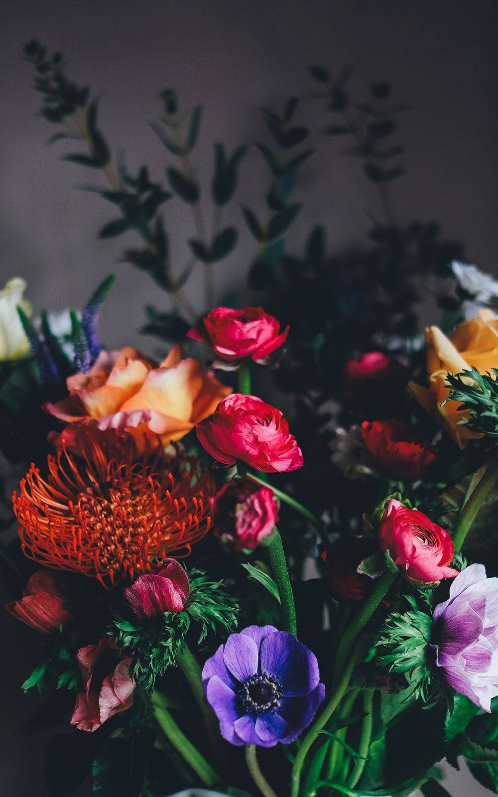 哥德式動圖 桌布 壁紙 — 一束鮮豔的紅、橙、紫色花朵，搭配綠色葉子，襯托在深色柔和背景上。