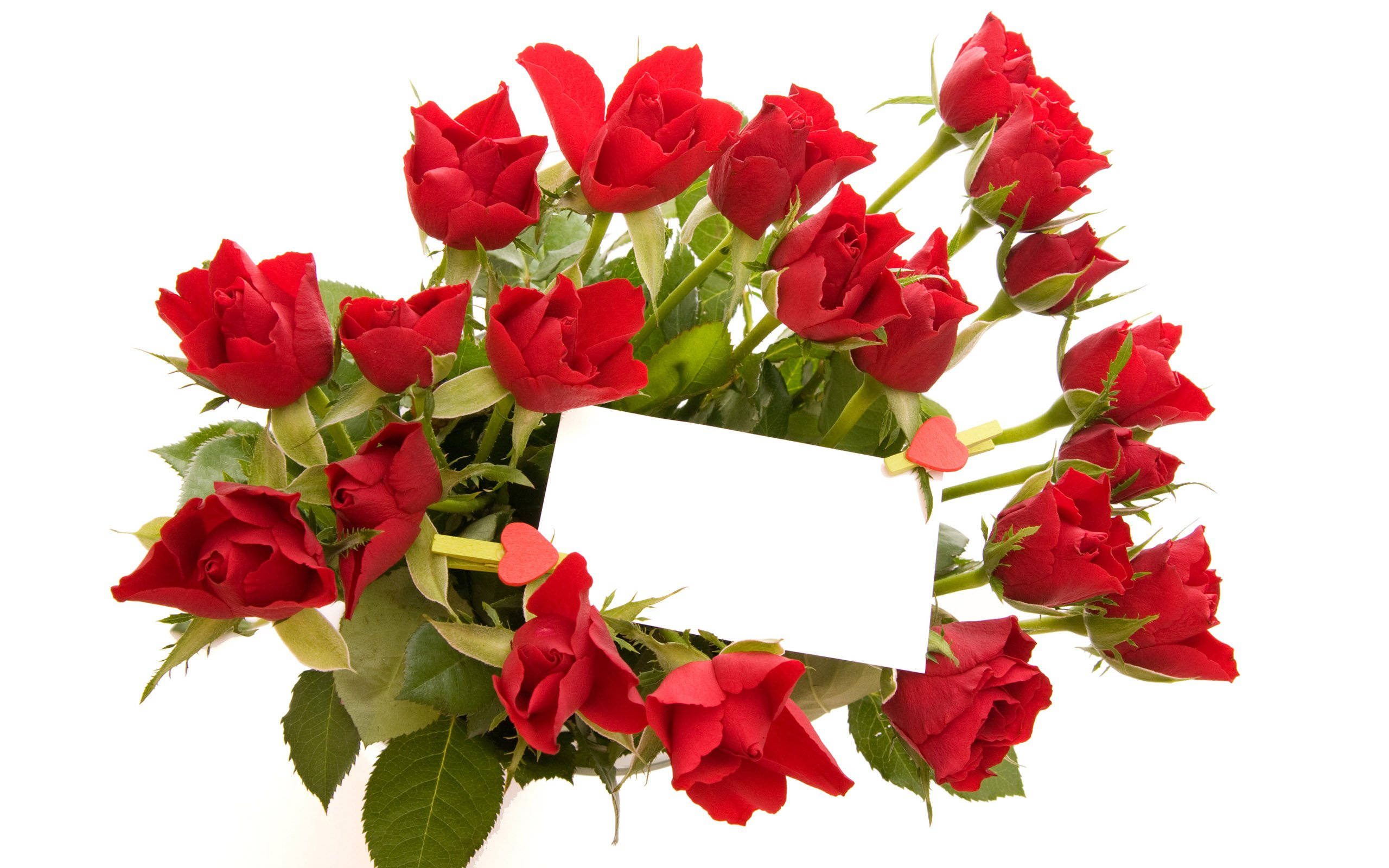 Roses 桌布 壁紙 — 一束鮮豔的紅玫瑰，搭配綠葉，並由心形夾子夾著一張空白白色卡片，置於純白色背景上。