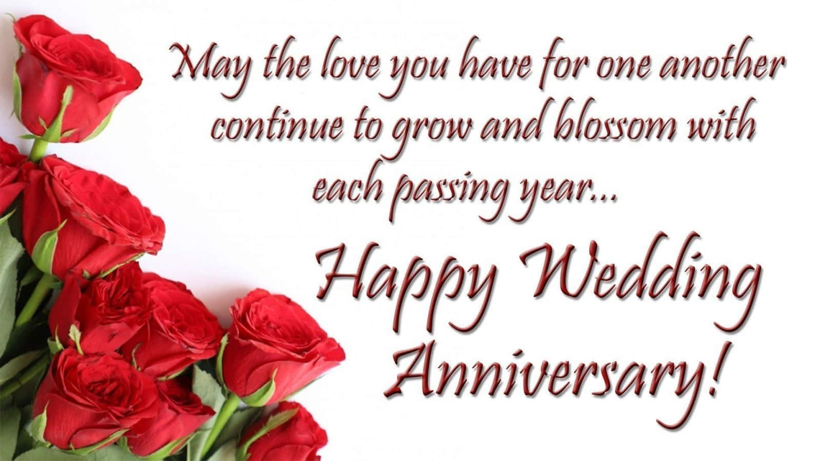 Anniversary 桌布 壁紙 — 一束鮮豔的紅玫瑰，配上優雅的草書文字，祝賀結婚週年快樂。