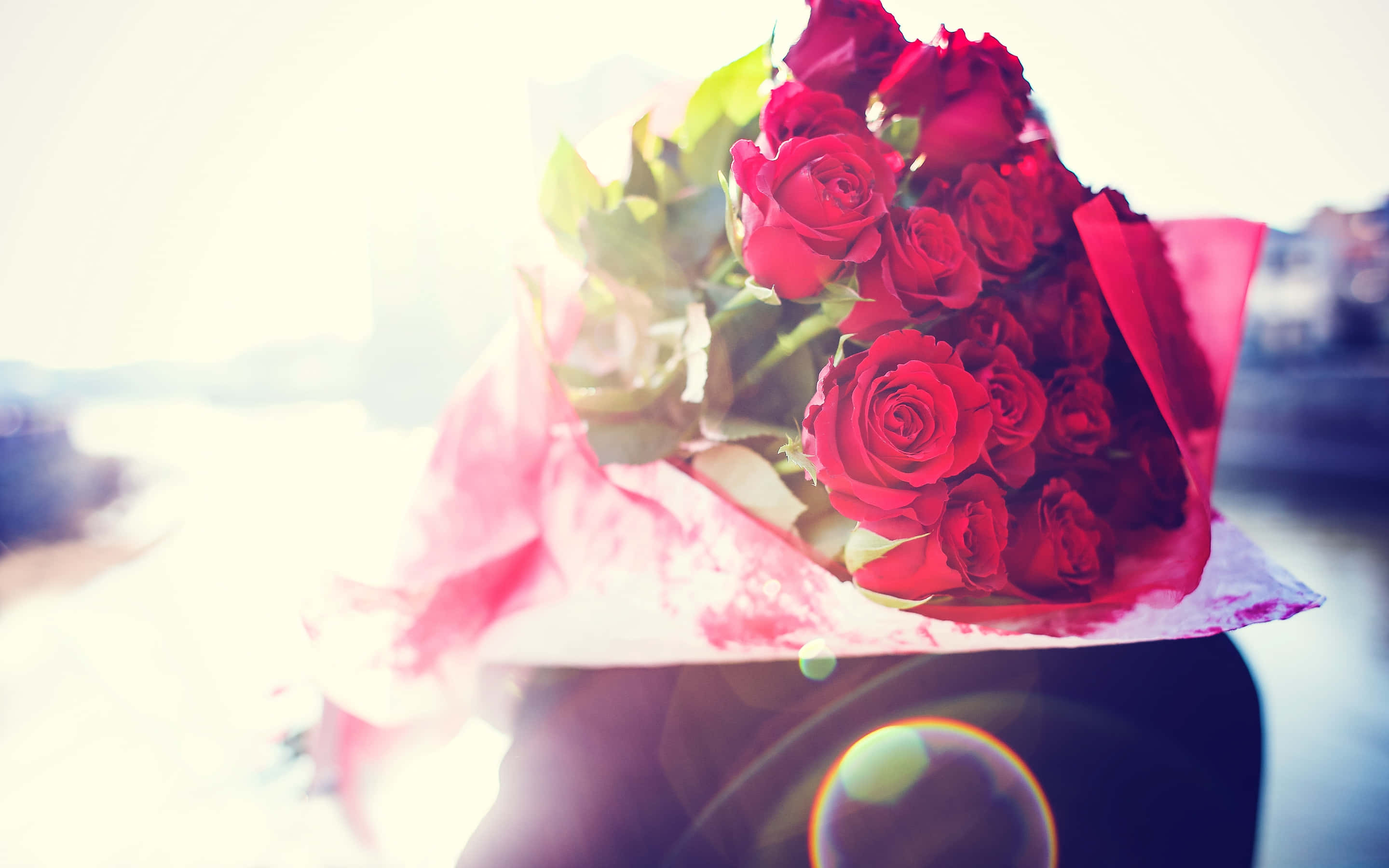 Bouquet 桌布 壁紙 — 一束鮮豔的紅玫瑰用粉紅色紙包裹，在柔和模糊的戶外場景中散發著溫暖的背光。