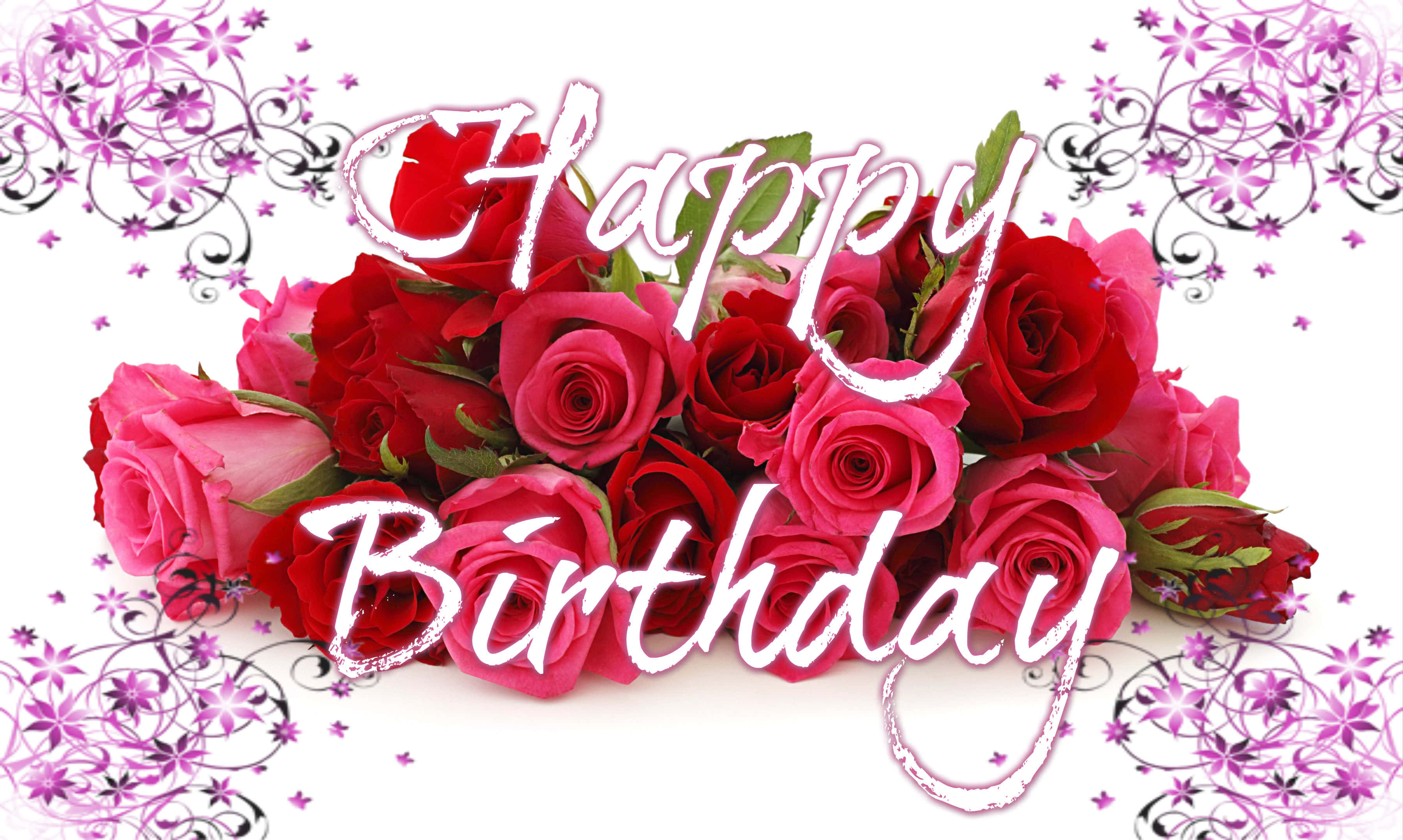 生日快樂 桌布 壁紙 — 一束鮮豔的紅粉玫瑰，白色字體寫著 'Happy Birthday'，以紫色花卉漩渦圍繞，背景為白色。