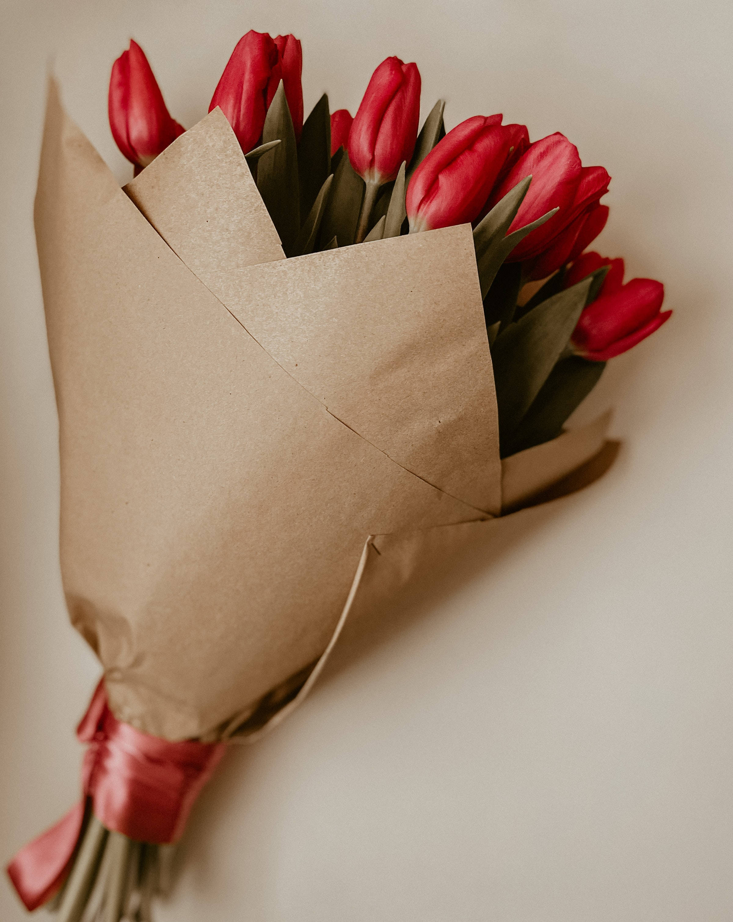 Flowers Aesthetic 桌布 壁紙 — 一束鮮豔的紅色鬱金香，用棕色紙包裹並繫上粉紅色絲帶，襯托在柔和的米色背景上。