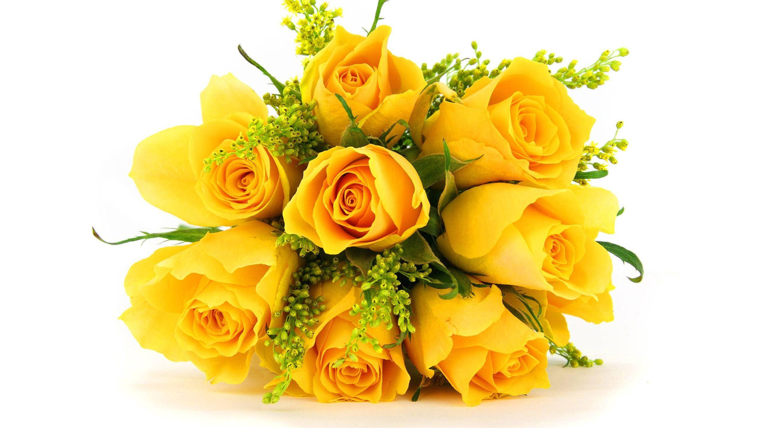 Flowers 桌布 壁紙 — 一束鮮豔的黃玫瑰和綠色填充花，排列在潔白的背景上。