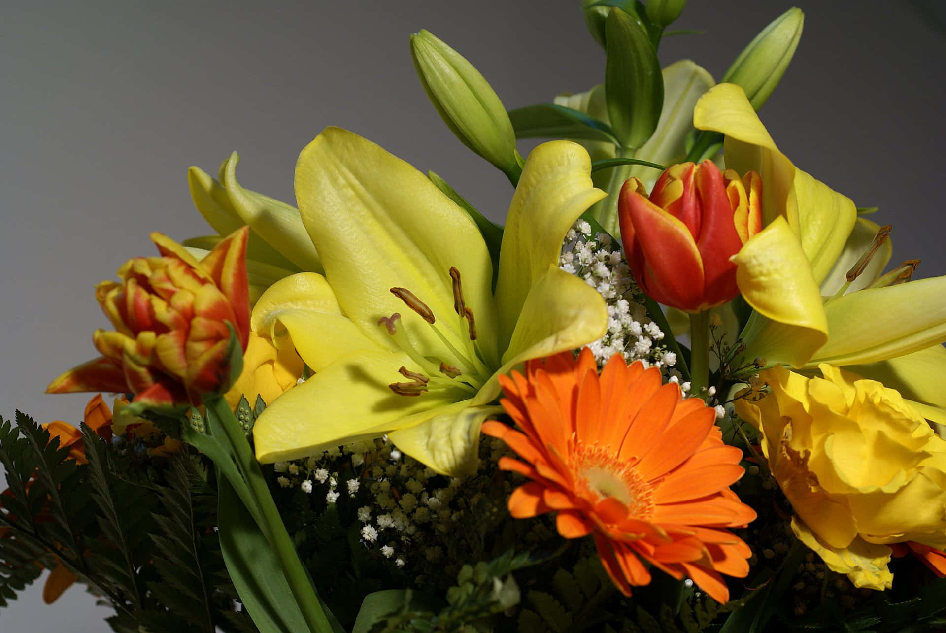 Floral Arrangement 桌布 壁紙 — 一束鮮豔的黃色百合、橙色非洲菊和紅色鬱金香，點綴著白色滿天星，襯以柔和的灰色背景。