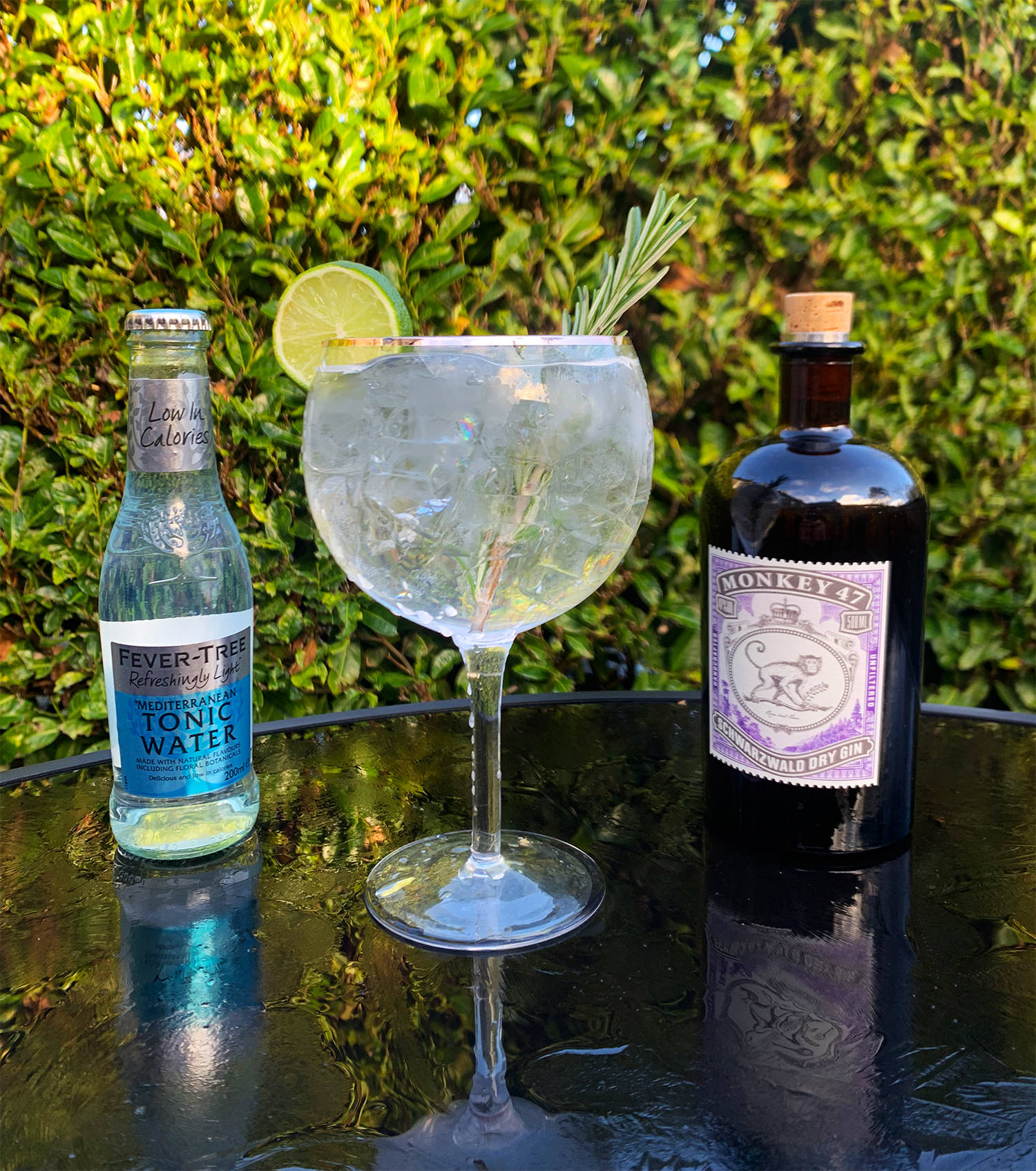 cocktail 桌布 壁紙 — 一杯以青檸和迷迭香裝飾的琴酒通寧雞尾酒放在反光桌上，旁邊有Fever Tree通寧水和Monkey 47琴酒瓶，背景是茂密的綠色籬笆。