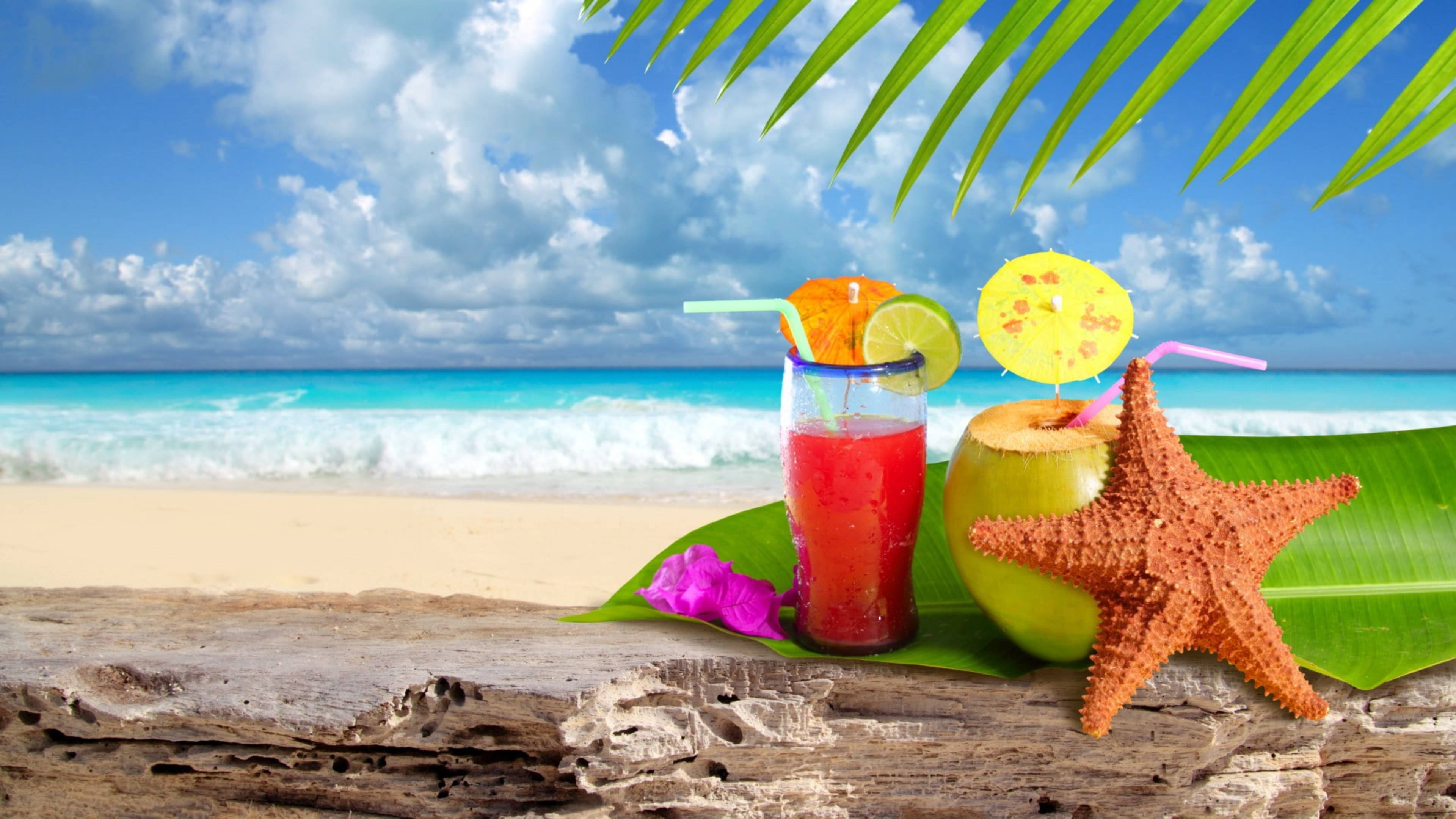 Tropical Drink 桌布 壁紙 — 一杯充滿活力的熱帶飲料和椰子放在一條風化的木頭上，旁邊有一隻海星，在棕櫚葉下，背景是碧綠的海洋。
